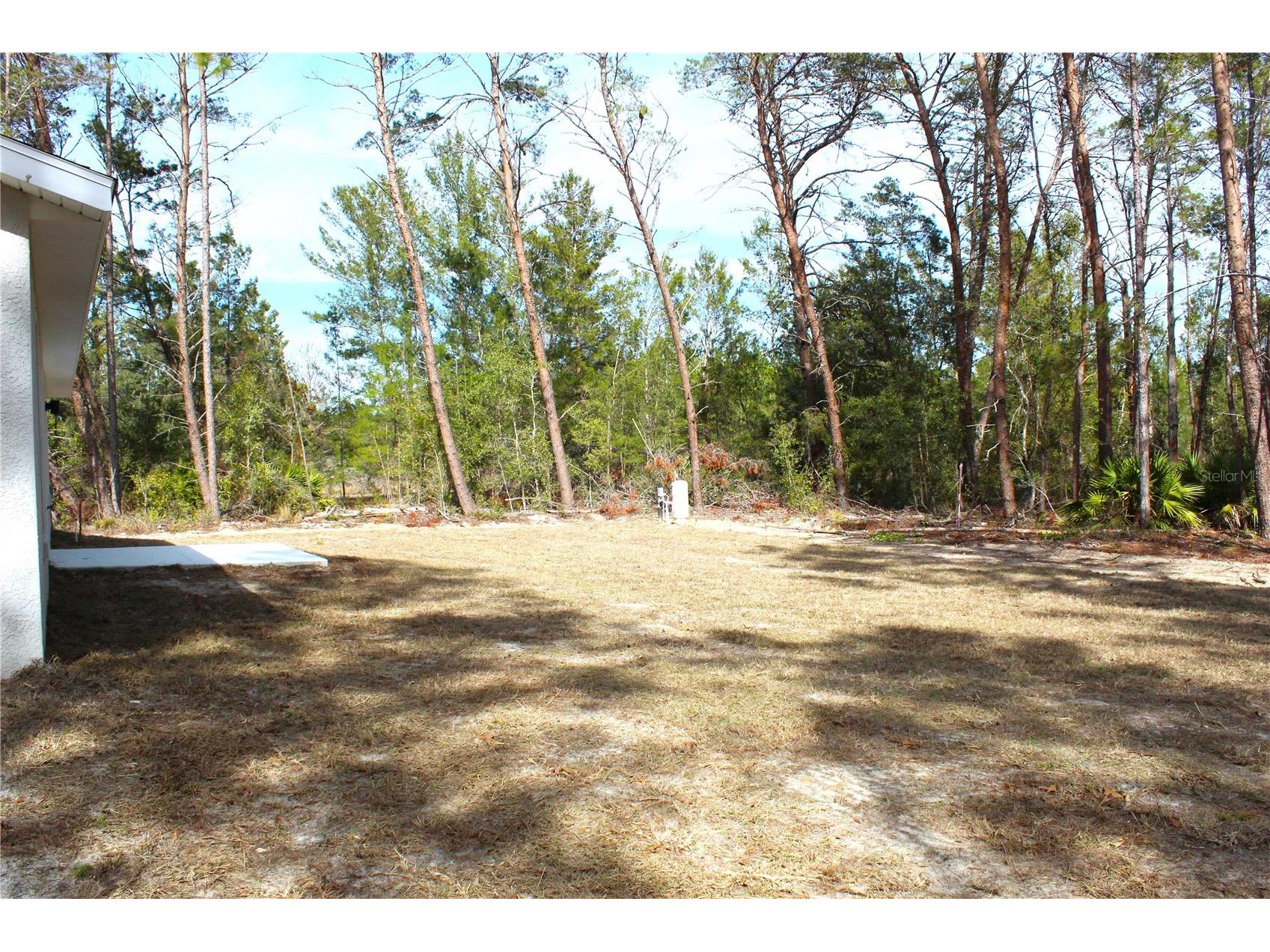 15 Fisher Way Place Ocklawaha FL 32179 OM717707 image13