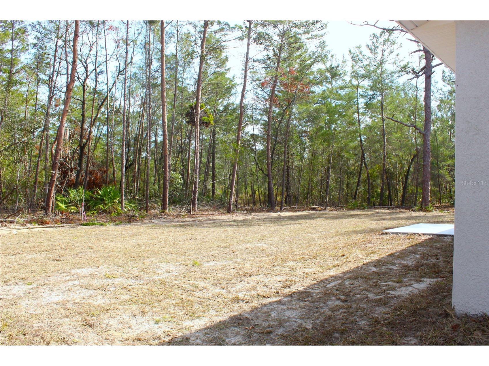 15 Fisher Way Place Ocklawaha FL 32179 OM717707 image14