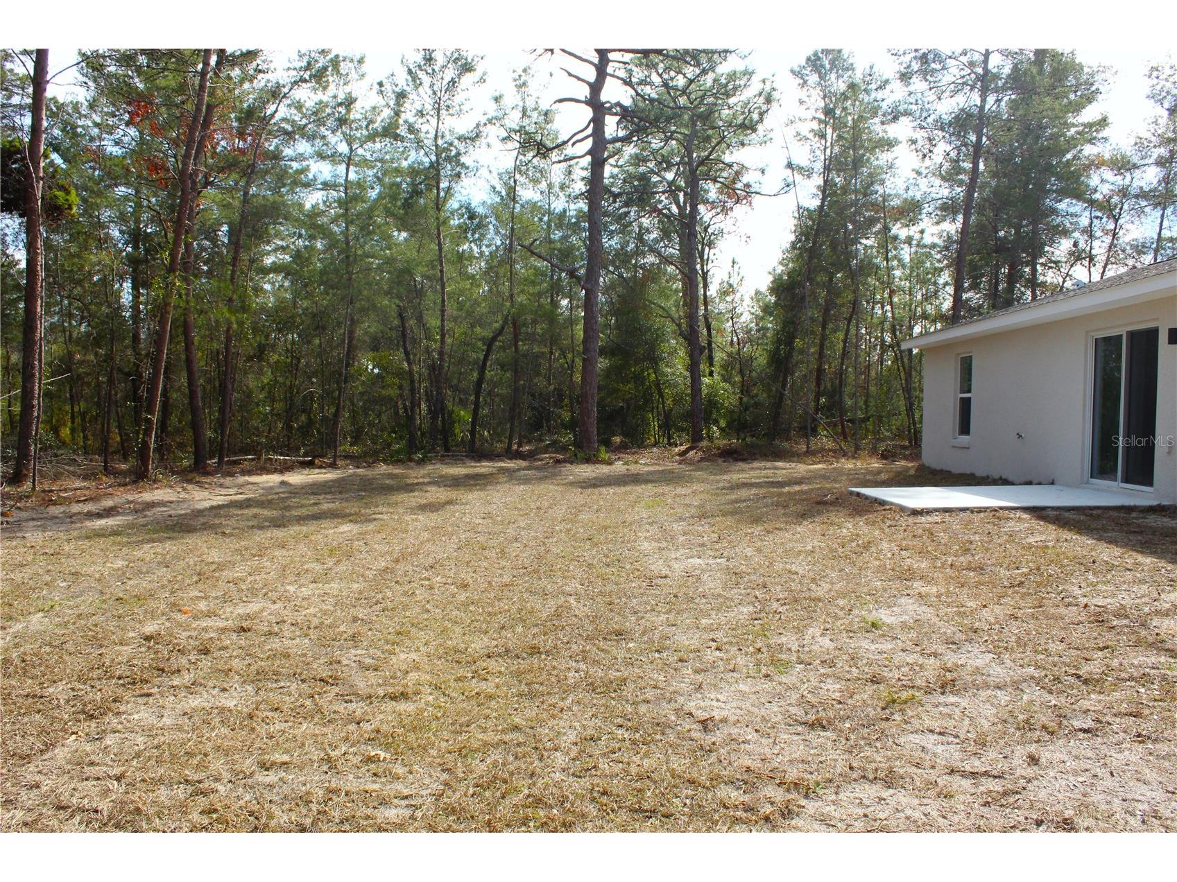 15 Fisher Way Place Ocklawaha FL 32179 OM717707 image15