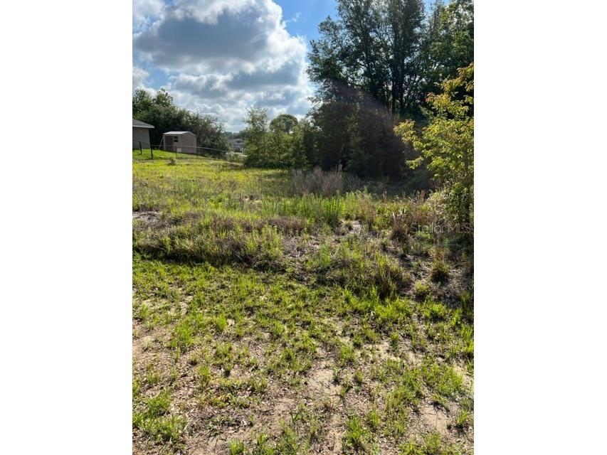 15 Juniper Trail Lane Ocala FL 34480 OM658144 image1