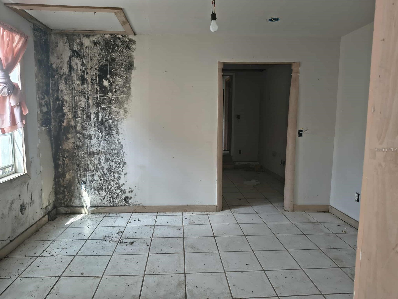 15 Lake Howard Drive NW Winter Haven FL 33880 TB8493899 image28