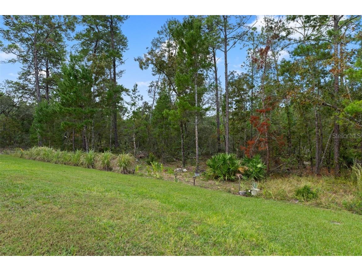 15 Lone Pine Street Homosassa FL 34446 W7880740 image41