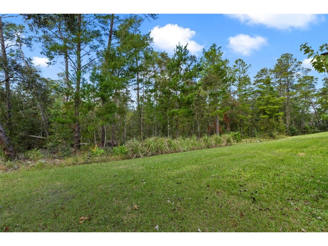 15 Lone Pine Street Homosassa FL 34446 W7880740 image44