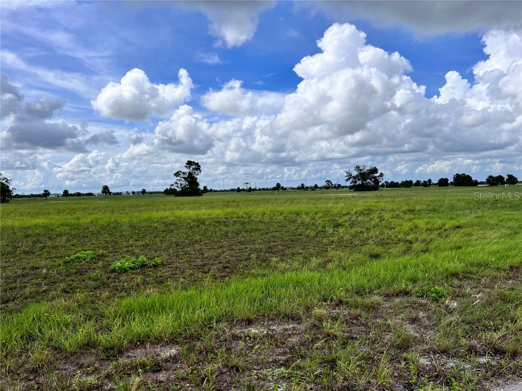 15 Magnolia Way Placida FL 33946 D6131413 image1