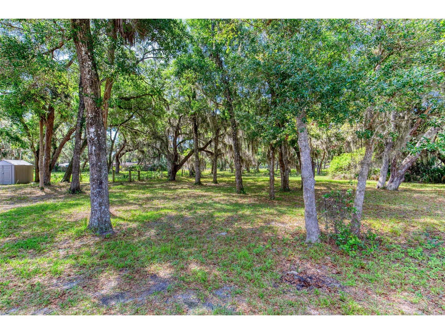 15 Maple Street Flagler Beach FL 32136 V4949051 image68
