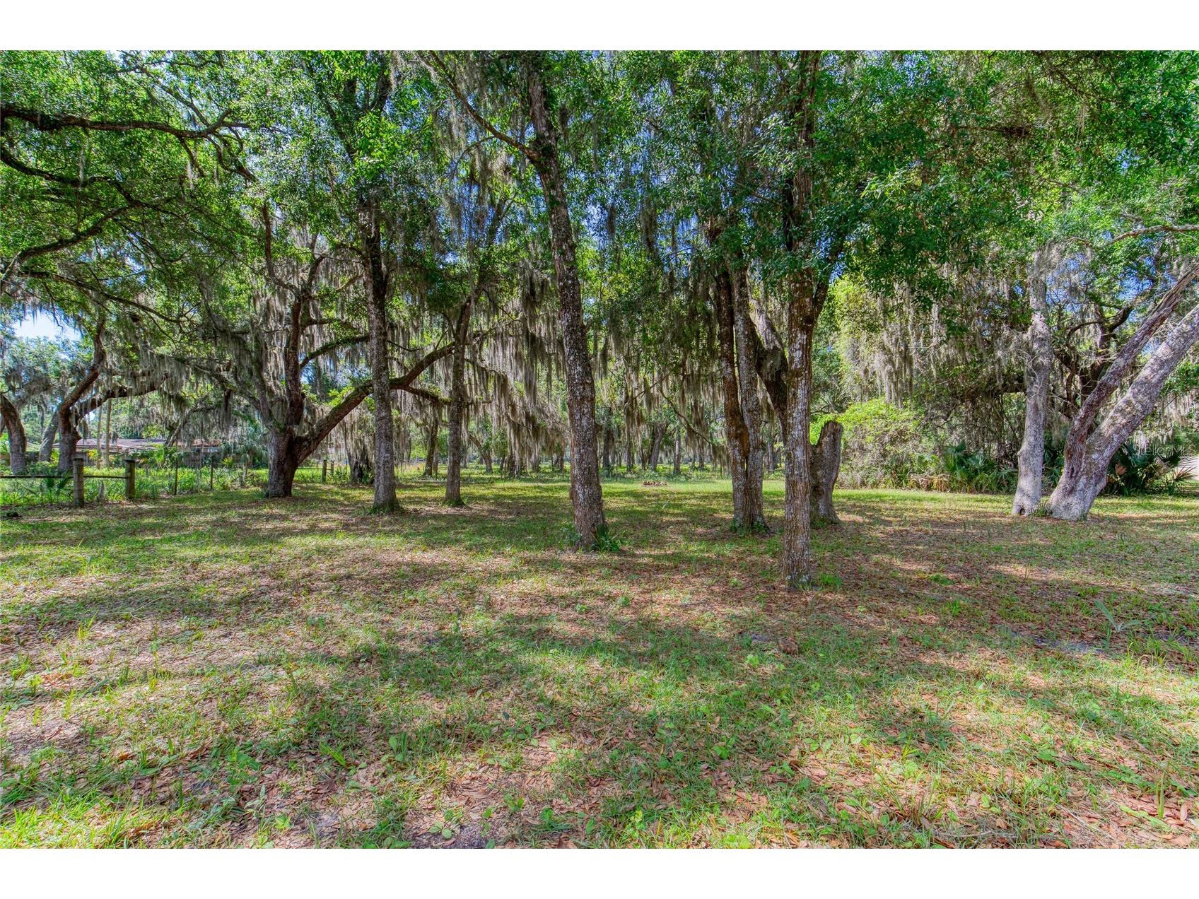 15 Maple Street Flagler Beach FL 32136 V4949051 image69