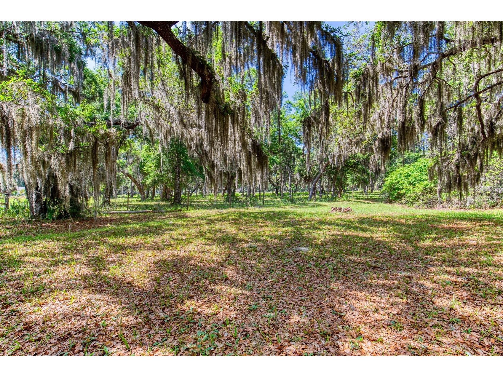 15 Maple Street Flagler Beach FL 32136 V4949051 image70