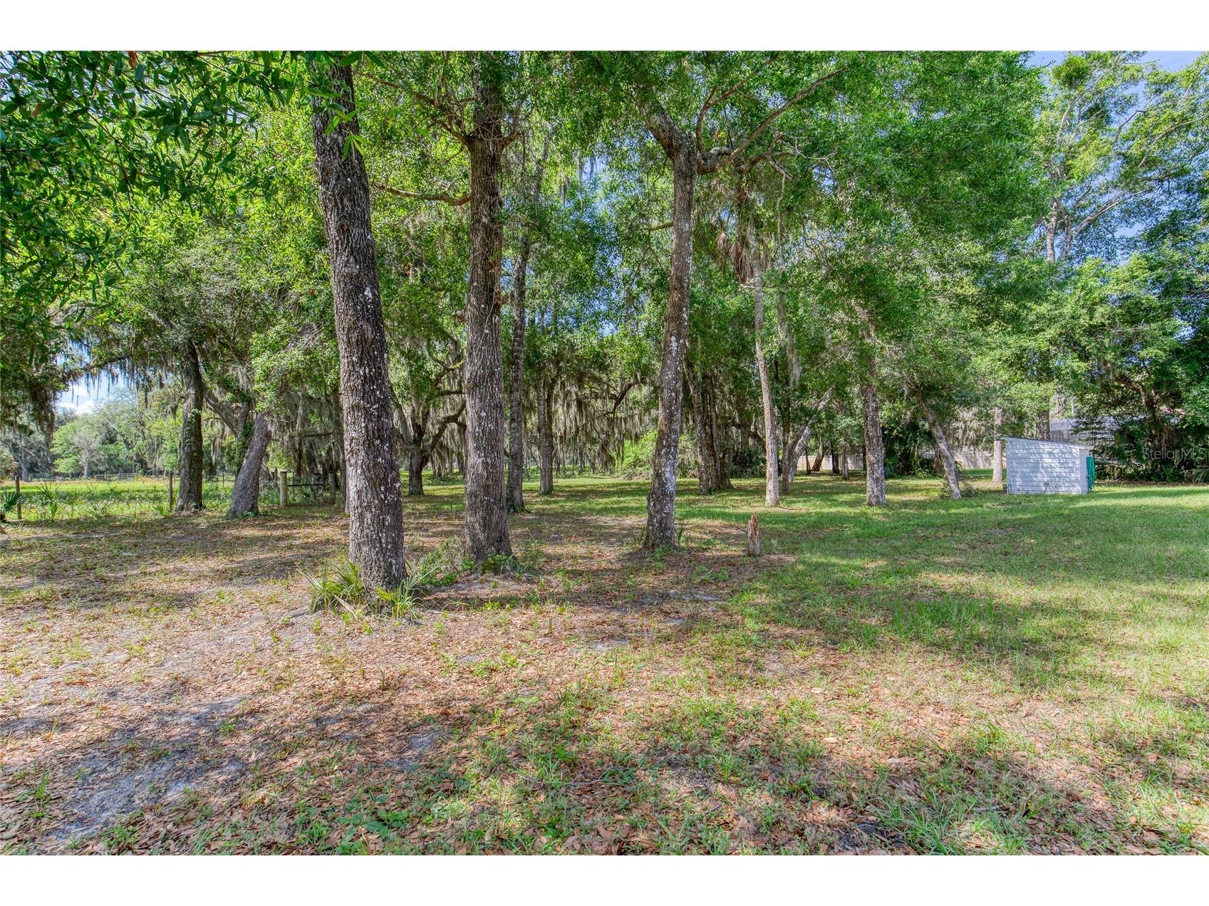 15 Maple Street Flagler Beach FL 32136 V4949051 image73