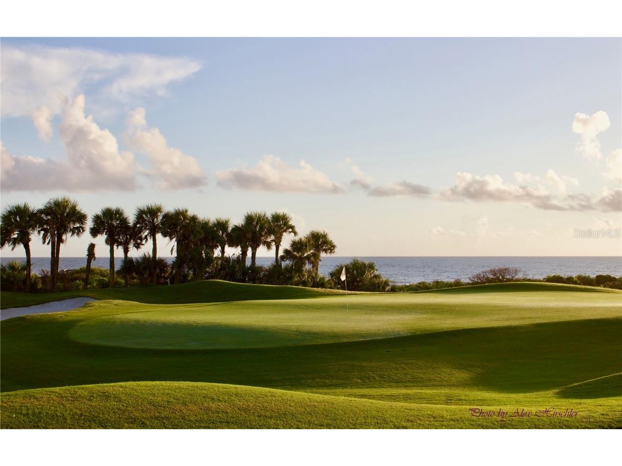 15 Marbella Court Palm Coast FL 32137 FC313756 image60