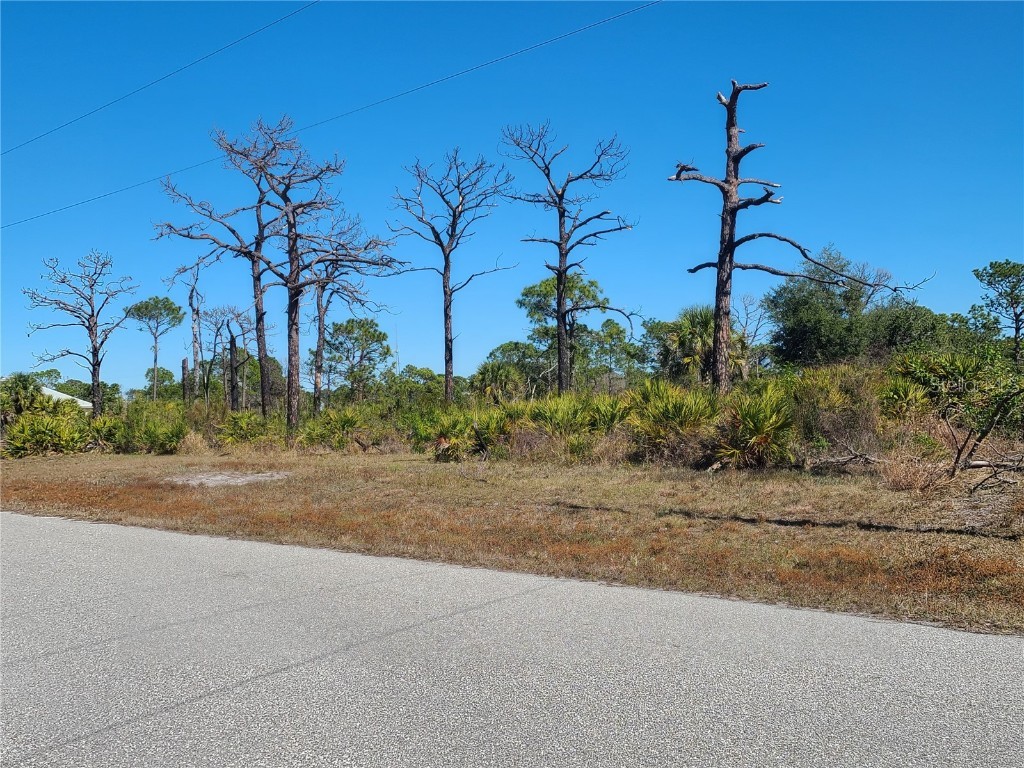 15 Mate Drive Placida FL 33946 D6123474 image1