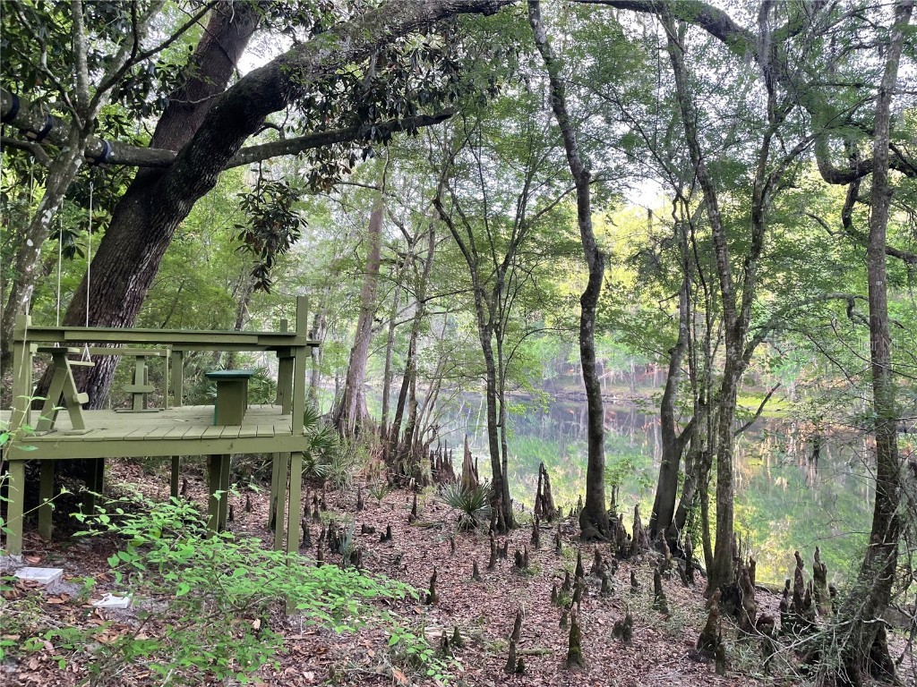 15 NW 203rd Place High Springs FL 32643 - SANTA FE RIVER O6102684 image1