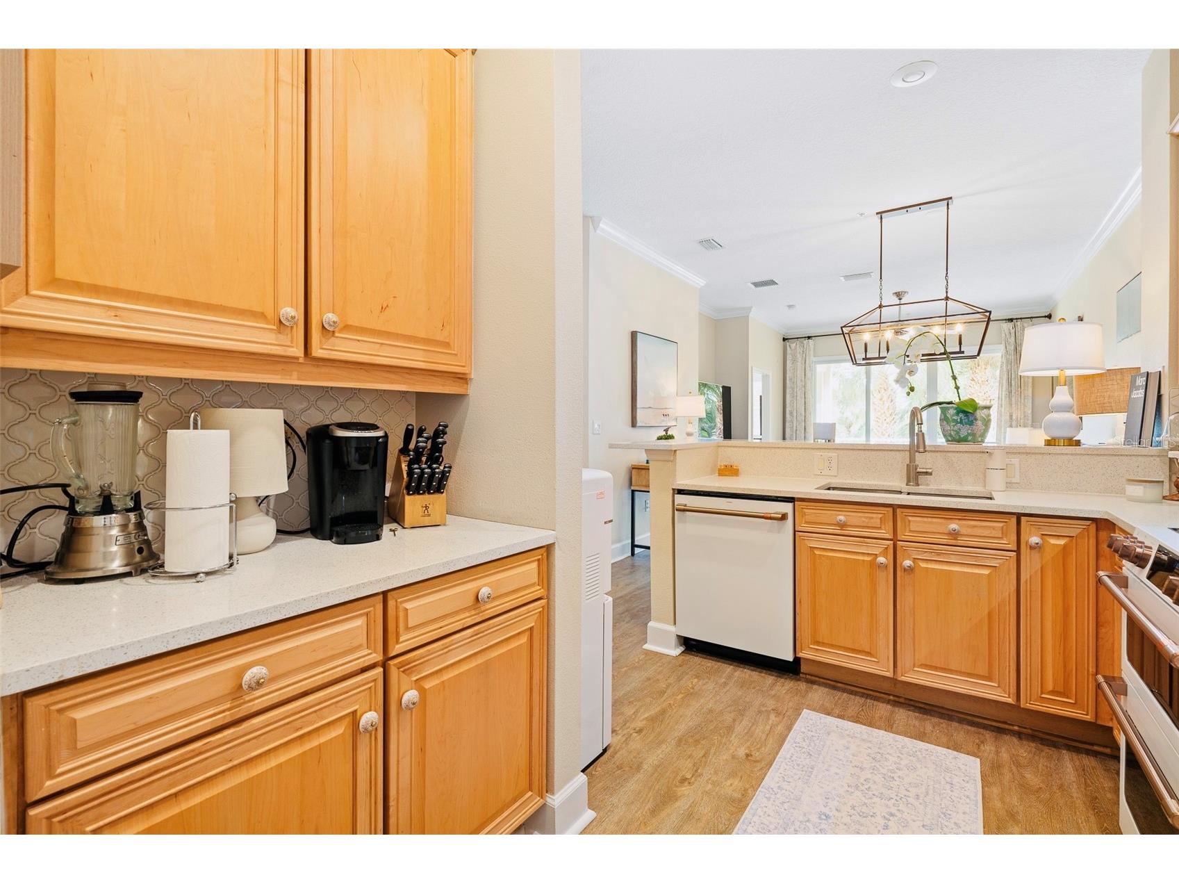 15 Ocean Crest Way #1312 Palm Coast FL 32137 FC319267 image8