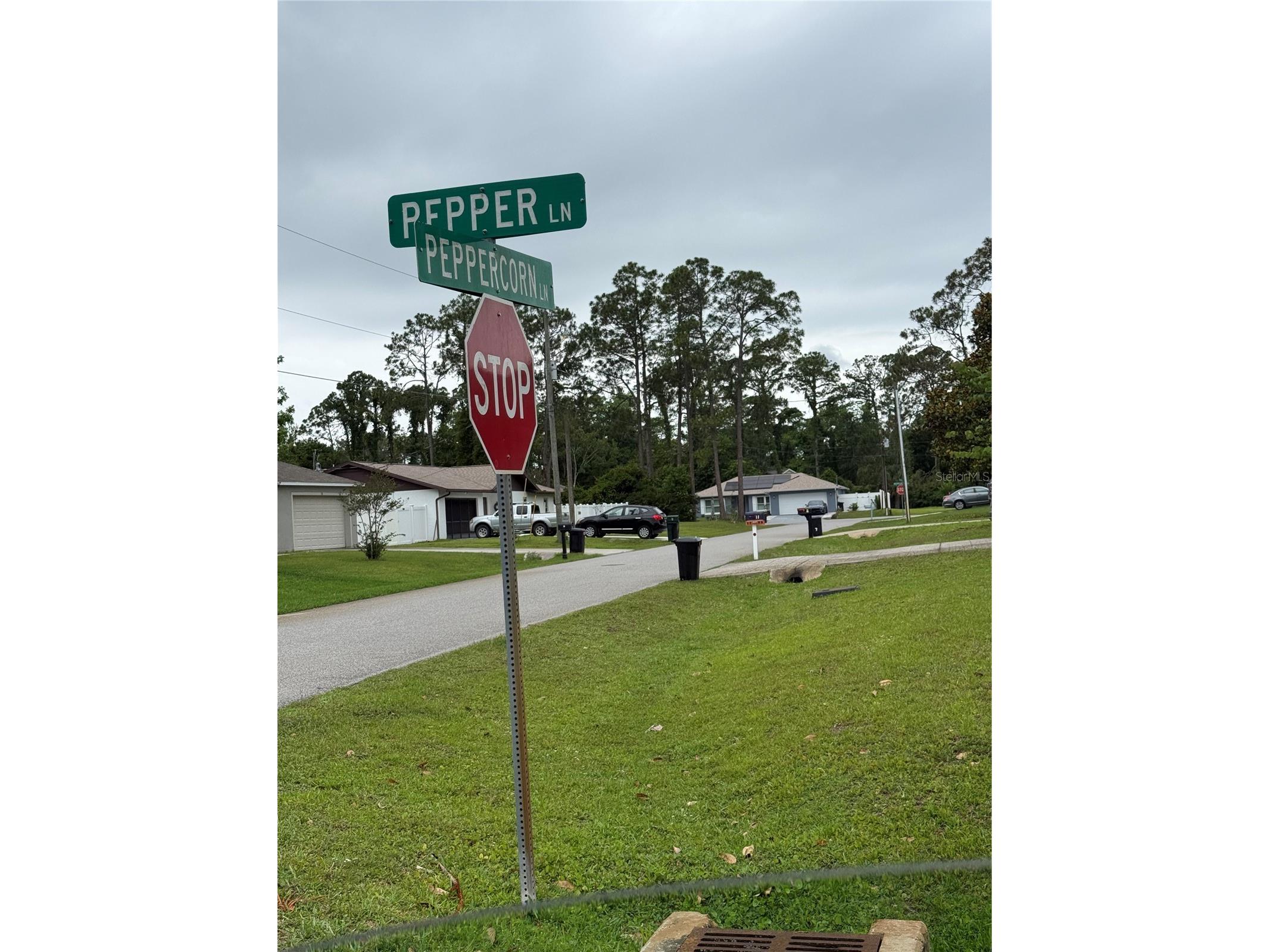 15 Pepper Lane Palm Coast FL 32164 FC318467 image1