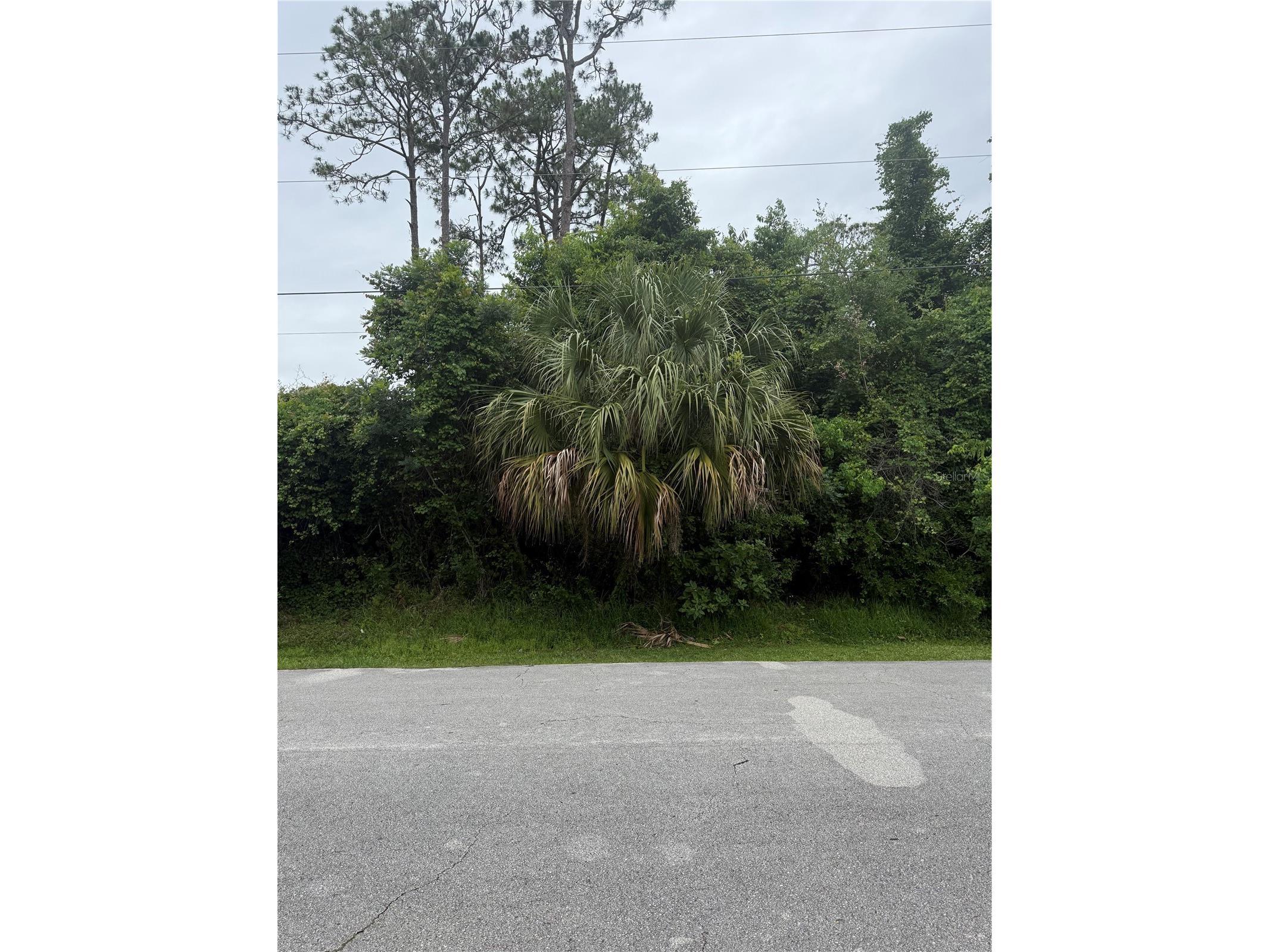 15 Pepper Lane Palm Coast FL 32164 FC318467 image2