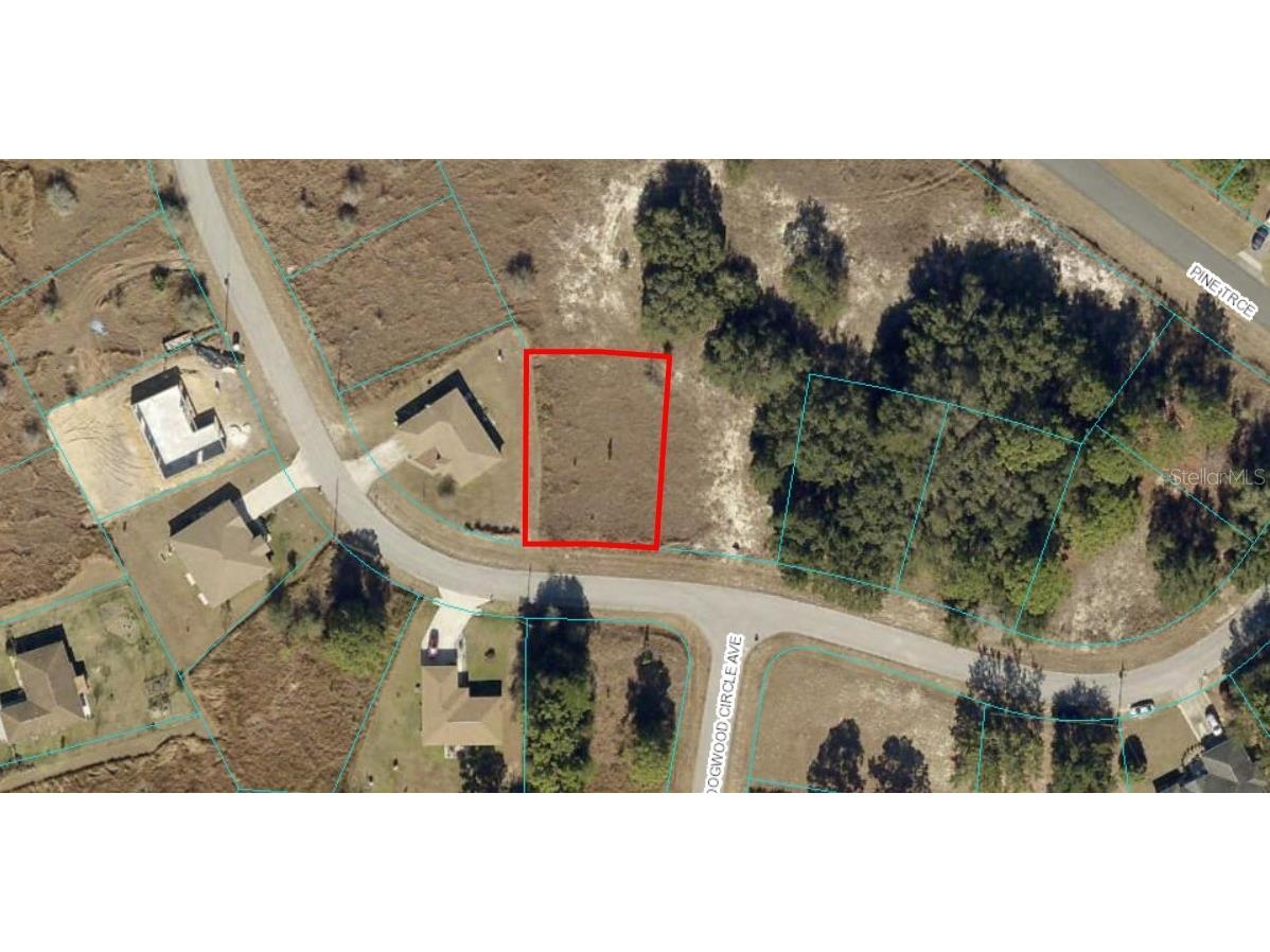 15 Pine Track Loop Ocala FL 34472 OM656174 image1