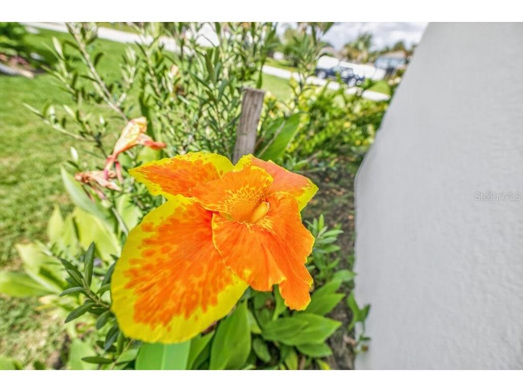 15 Princess Kathleen Lane Palm Coast FL 32164 FC318626 image65