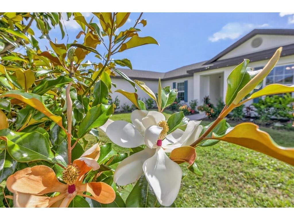 15 Princess Kathleen Lane Palm Coast FL 32164 FC318626 image7