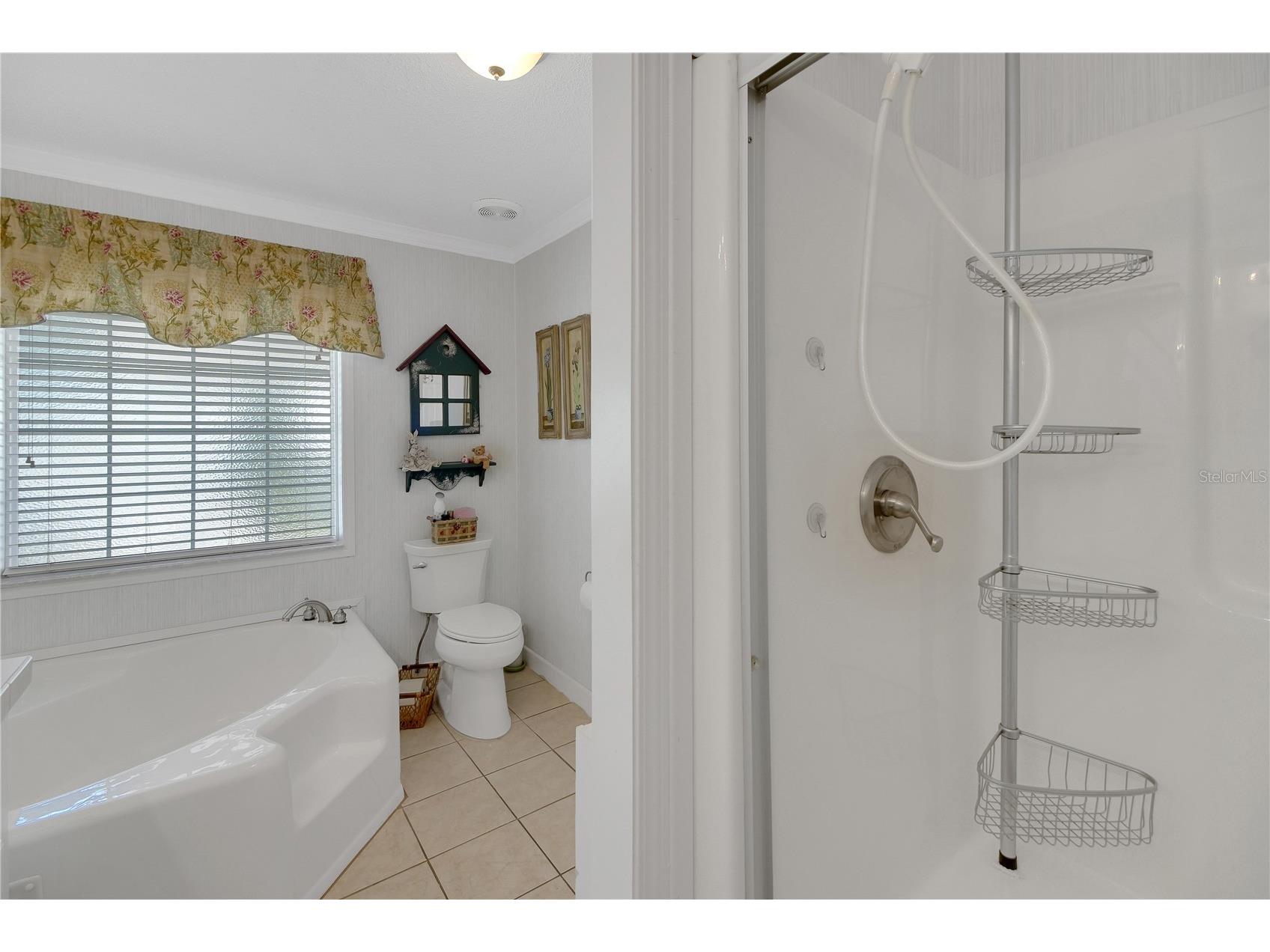 15 Riverview Drive Fruitland Park FL 34731 - LAKE GRIFFIN G5111956 image33