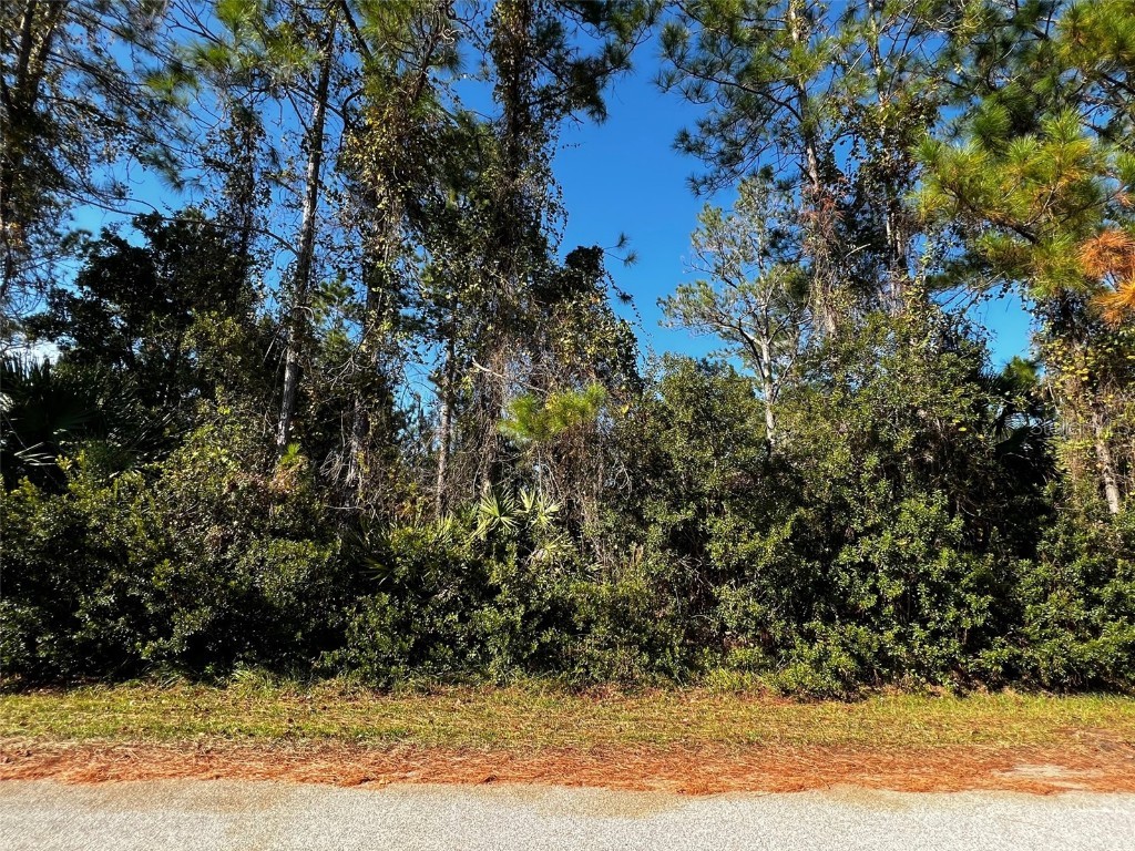 15 Sea Spiral Path Palm Coast FL 32164 FC296051 image1