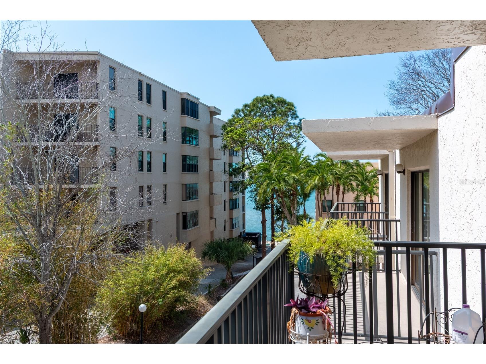 15 Turner Street #4 Clearwater FL 33756 TB8485916 image20