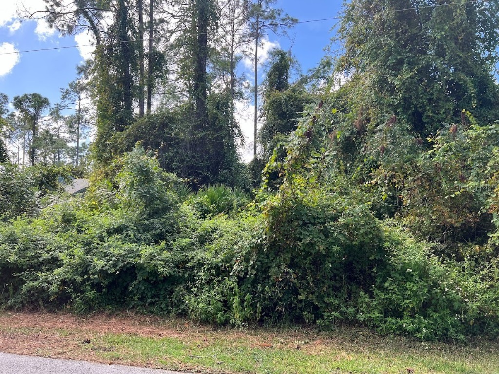 15 Wellham Lane Palm Coast FL 32164 FC295159 image1