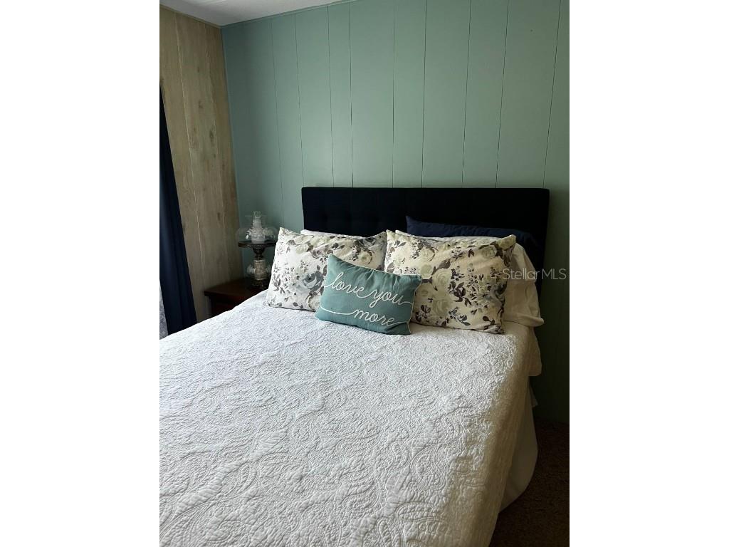 15 Wilderness Drive Lake Panasoffkee FL 33538 G5103845 image12