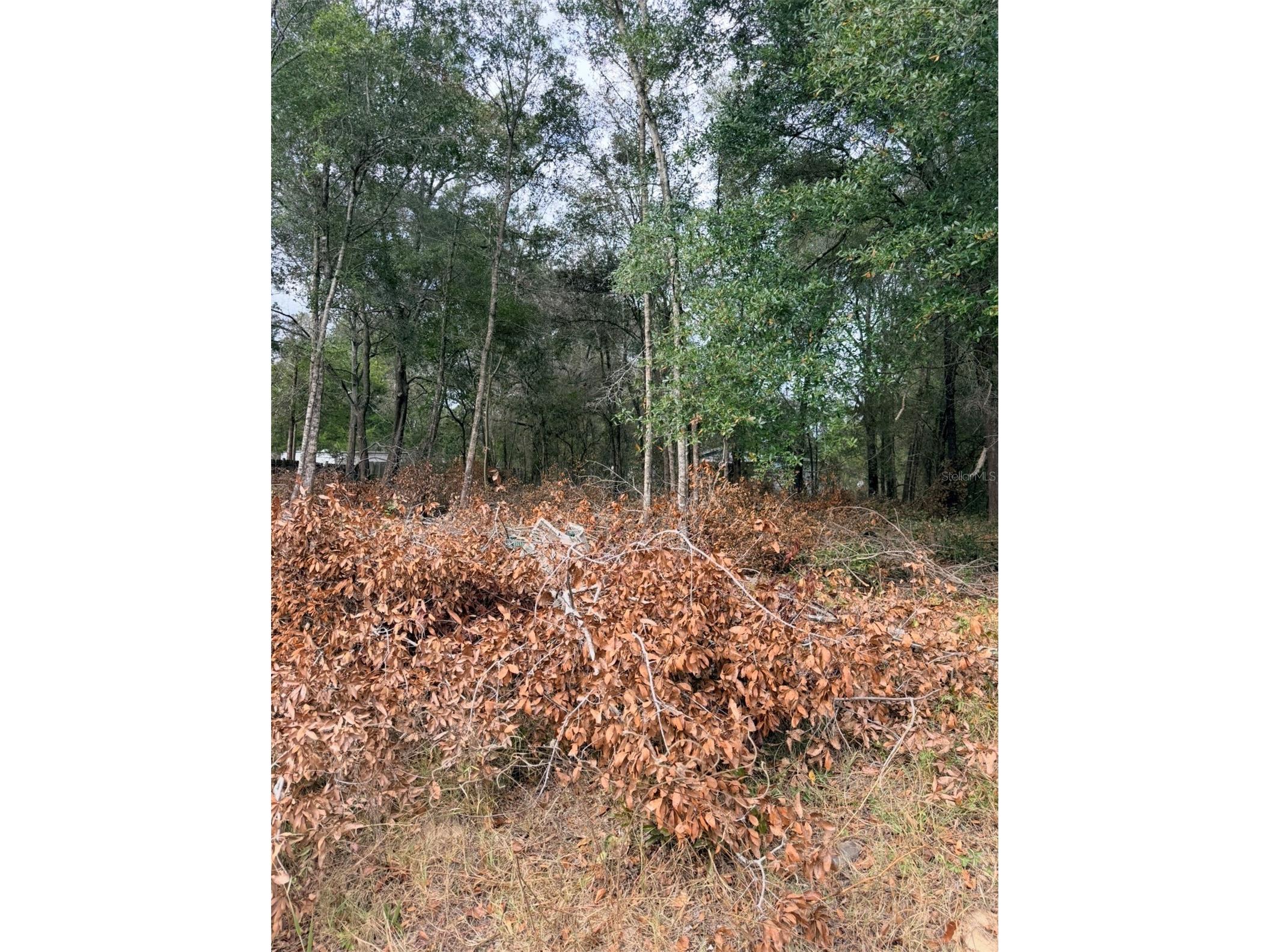 150 1st Way Interlachen FL 32148 O6372919 image4