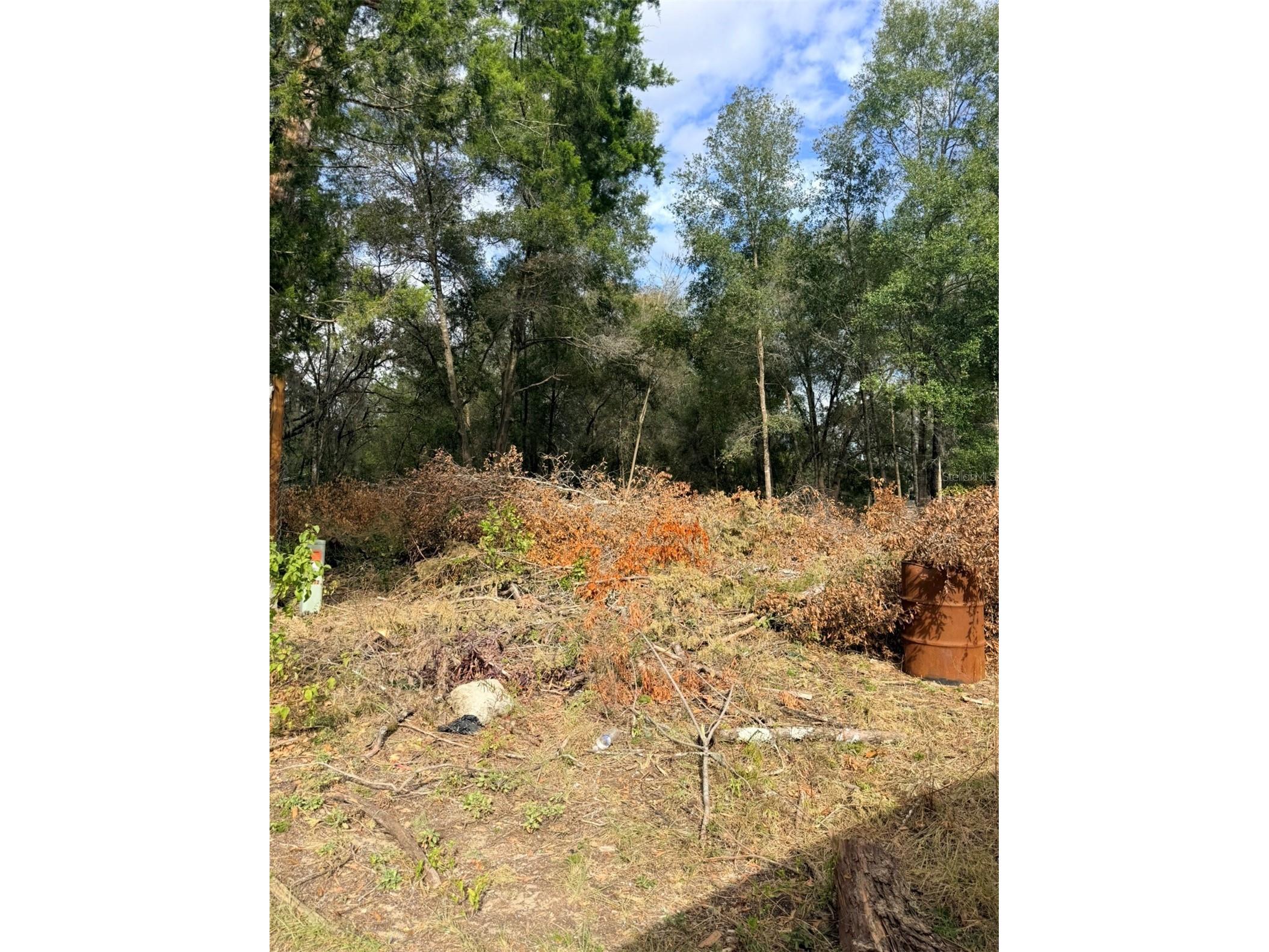 150 1st Way Interlachen FL 32148 O6372919 image5