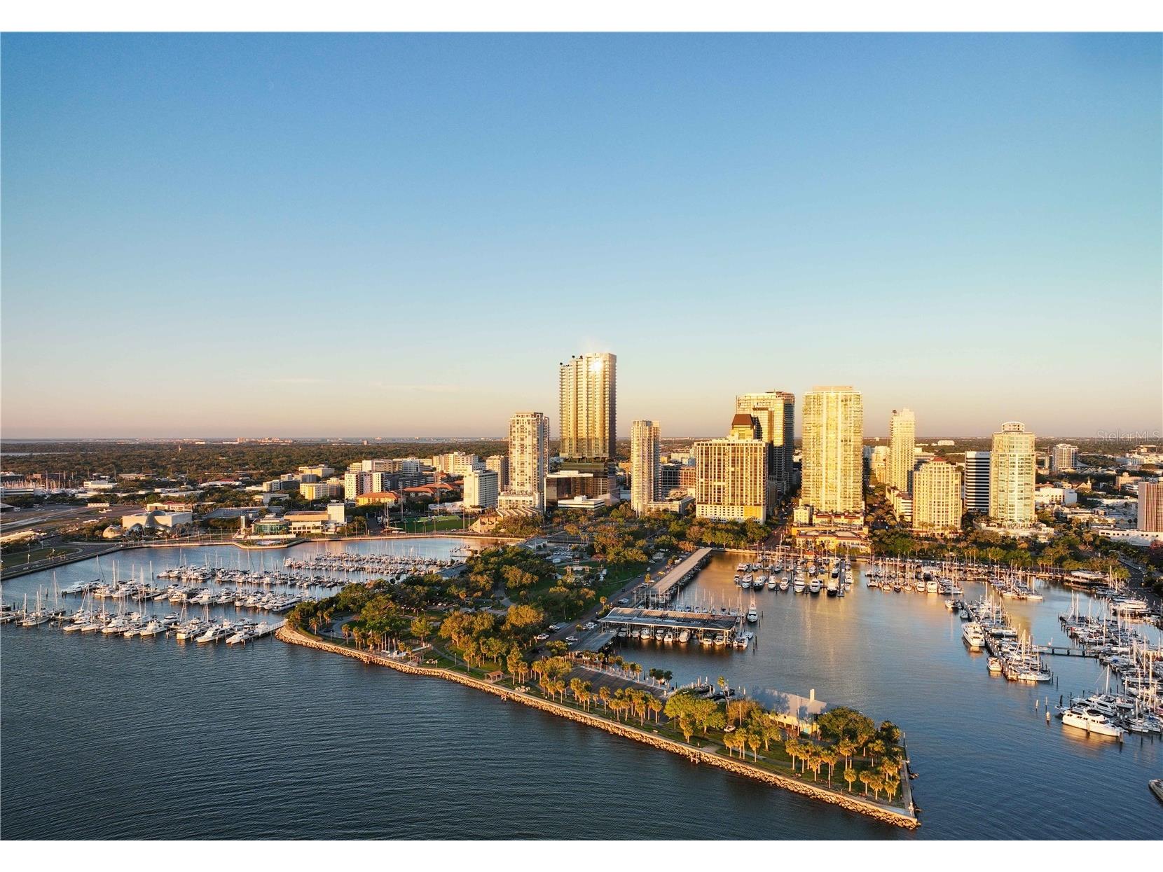 150 2nd Avenue S #2101 Saint Petersburg FL 33701 TB8497900 image2