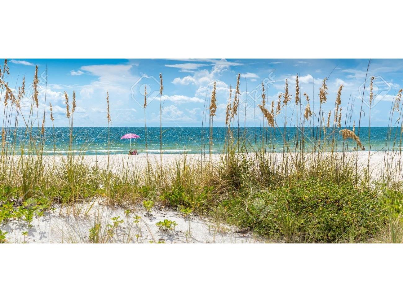 150 42nd Avenue Saint Pete Beach FL 33706 TB8528166 image52