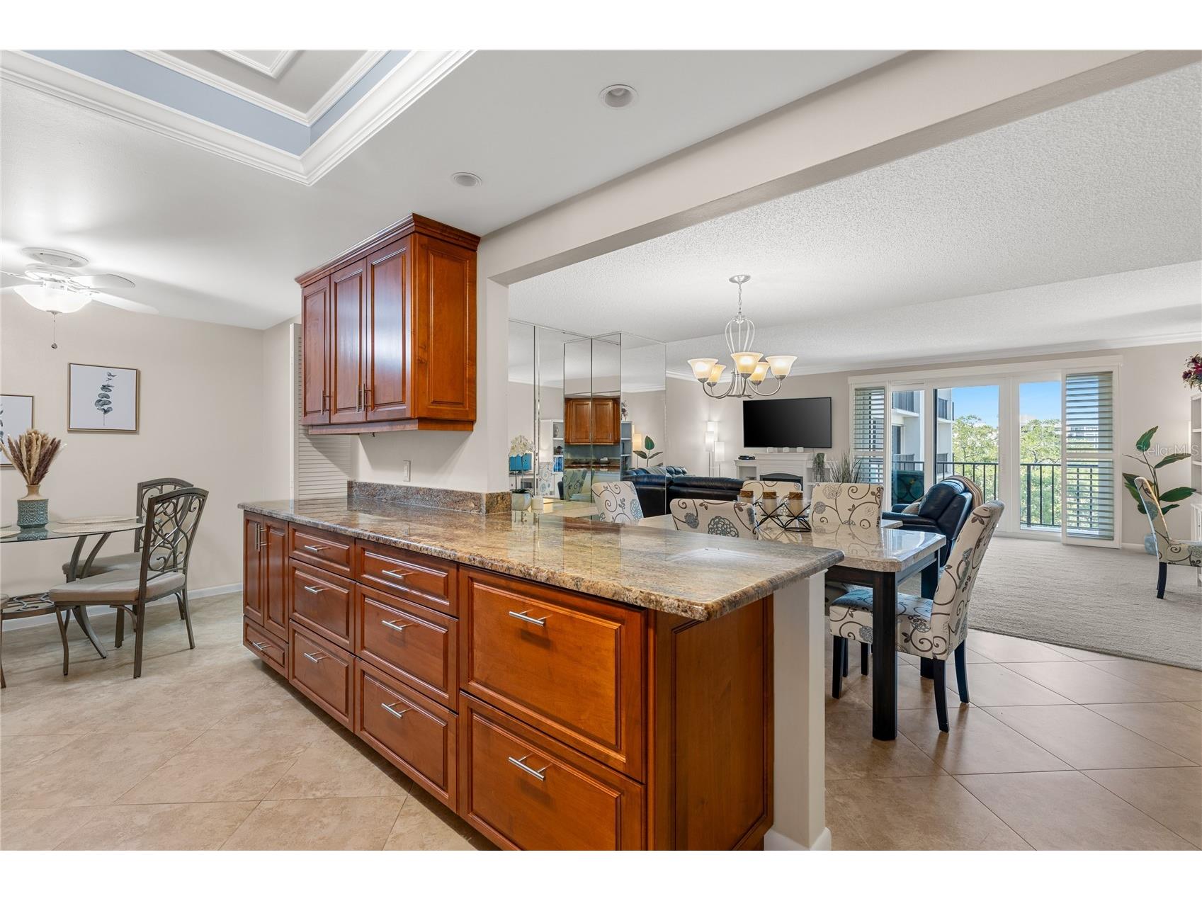 150 Belleview Boulevard #508 Belleair FL 33756 TB8429195 image13