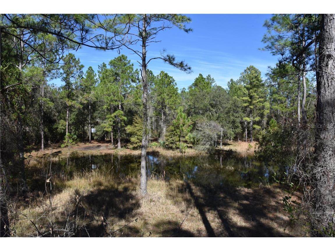 150 Caravelle Farms Road Palatka FL 32177 OM670853 image1