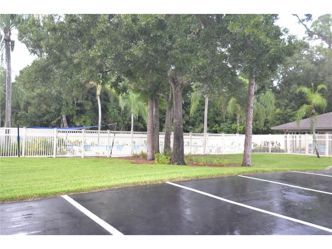 150 Dale Place Oldsmar FL 34677 TB8435678 image26