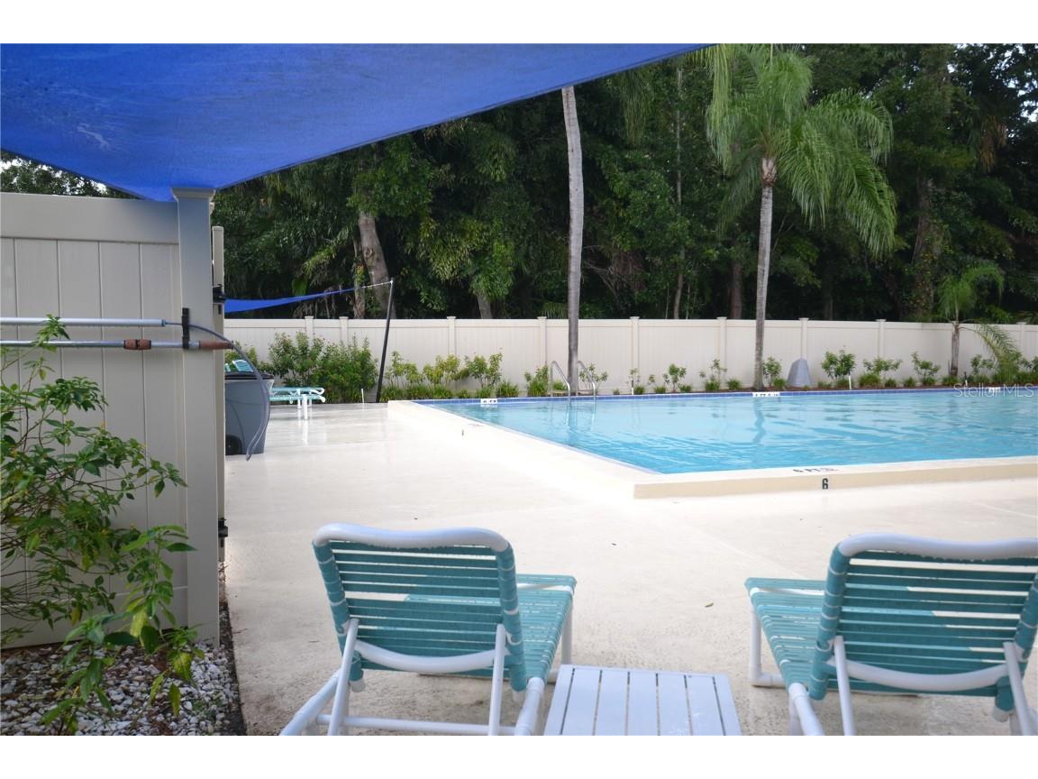 150 Dale Place Oldsmar FL 34677 TB8435678 image28