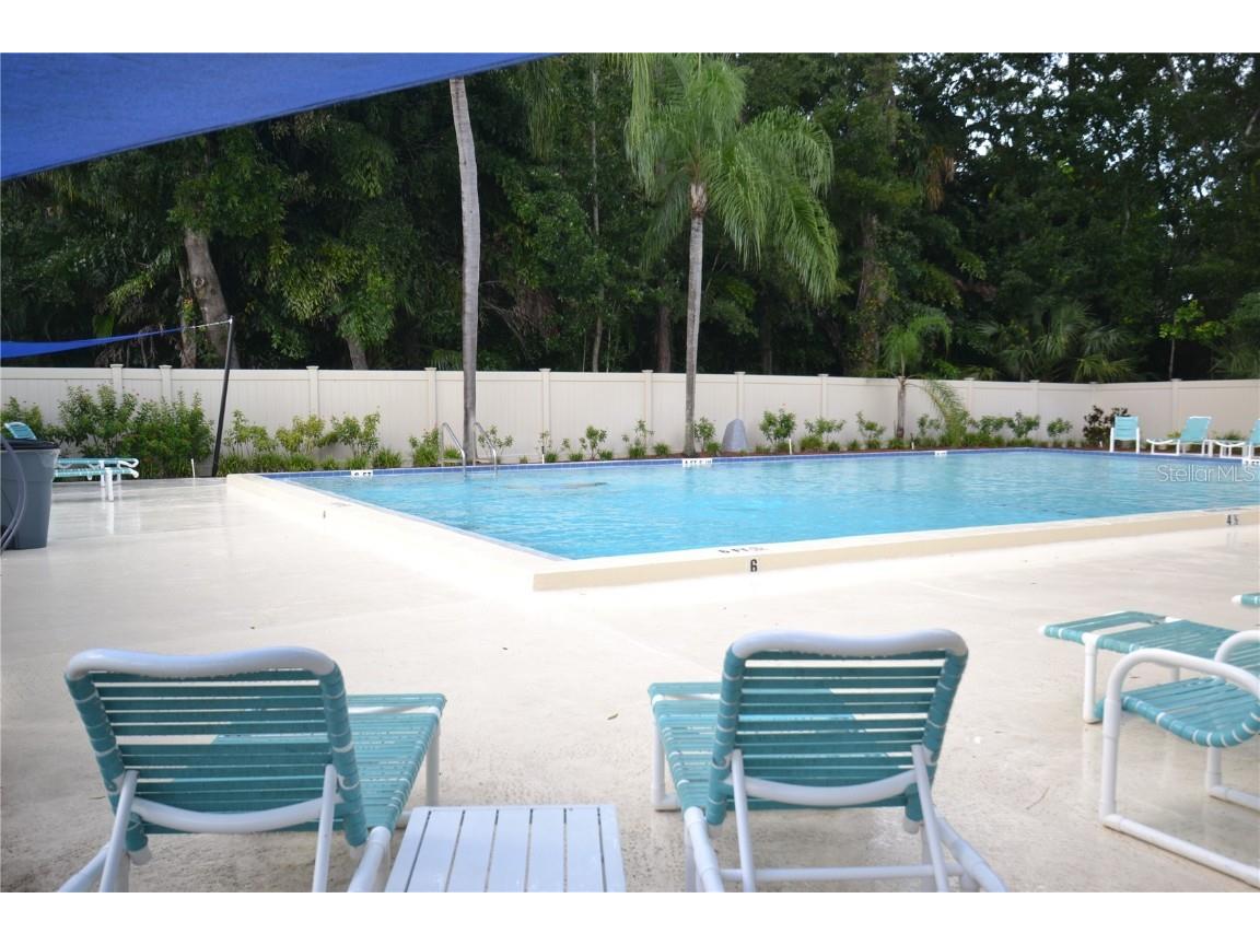 150 Dale Place Oldsmar FL 34677 TB8435678 image29