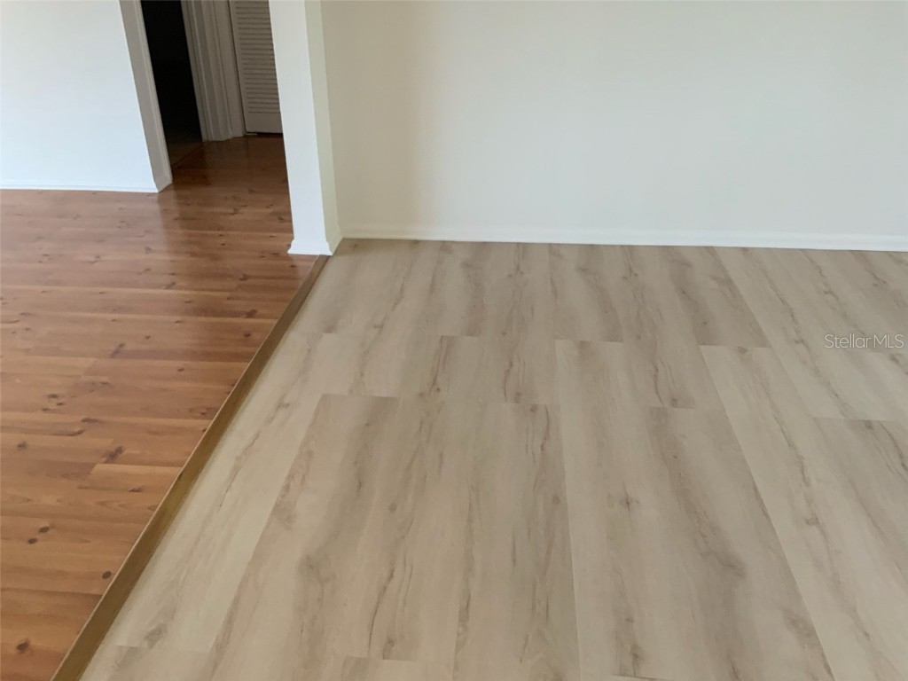 150 Dale Place Oldsmar FL 34677 TB8435678 image5