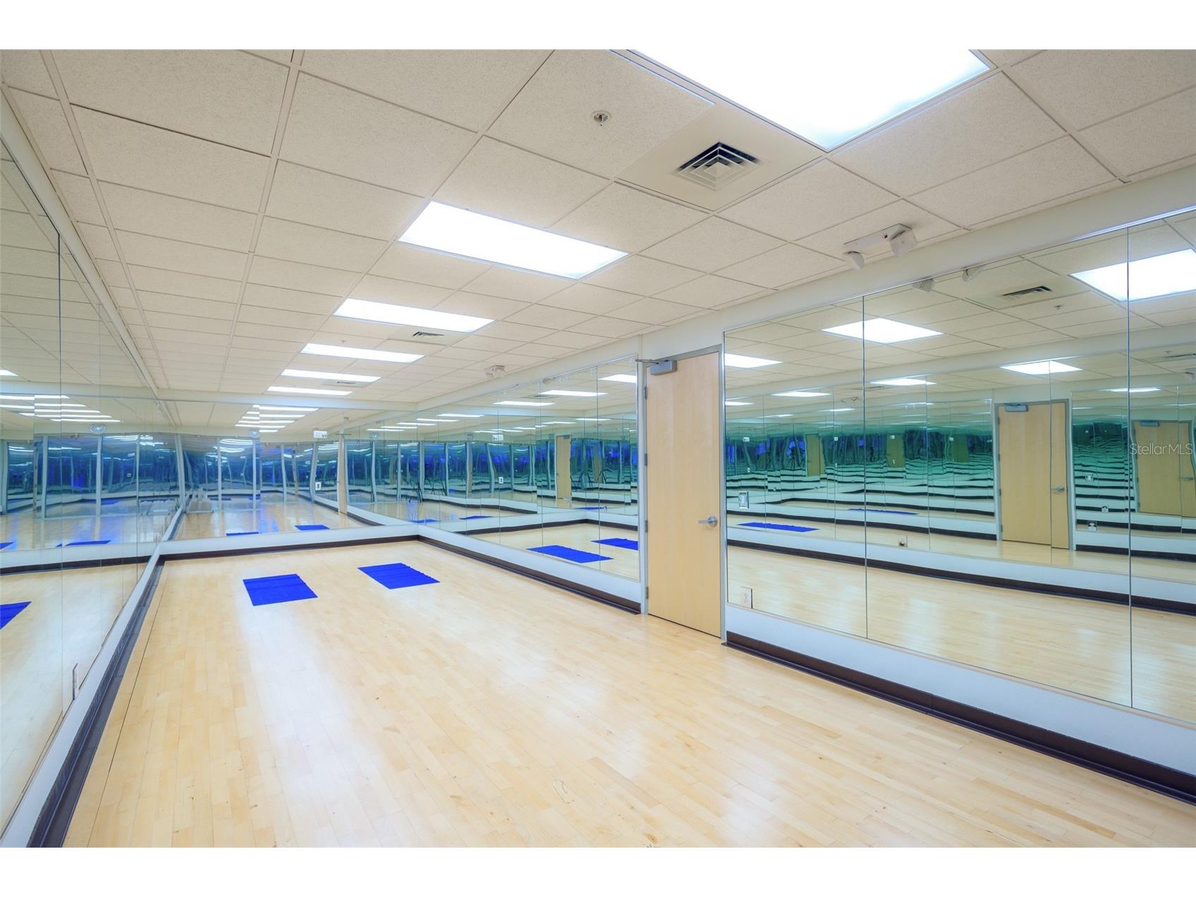 150 E Robinson Street #10A Orlando FL 32801 O6381637 image28