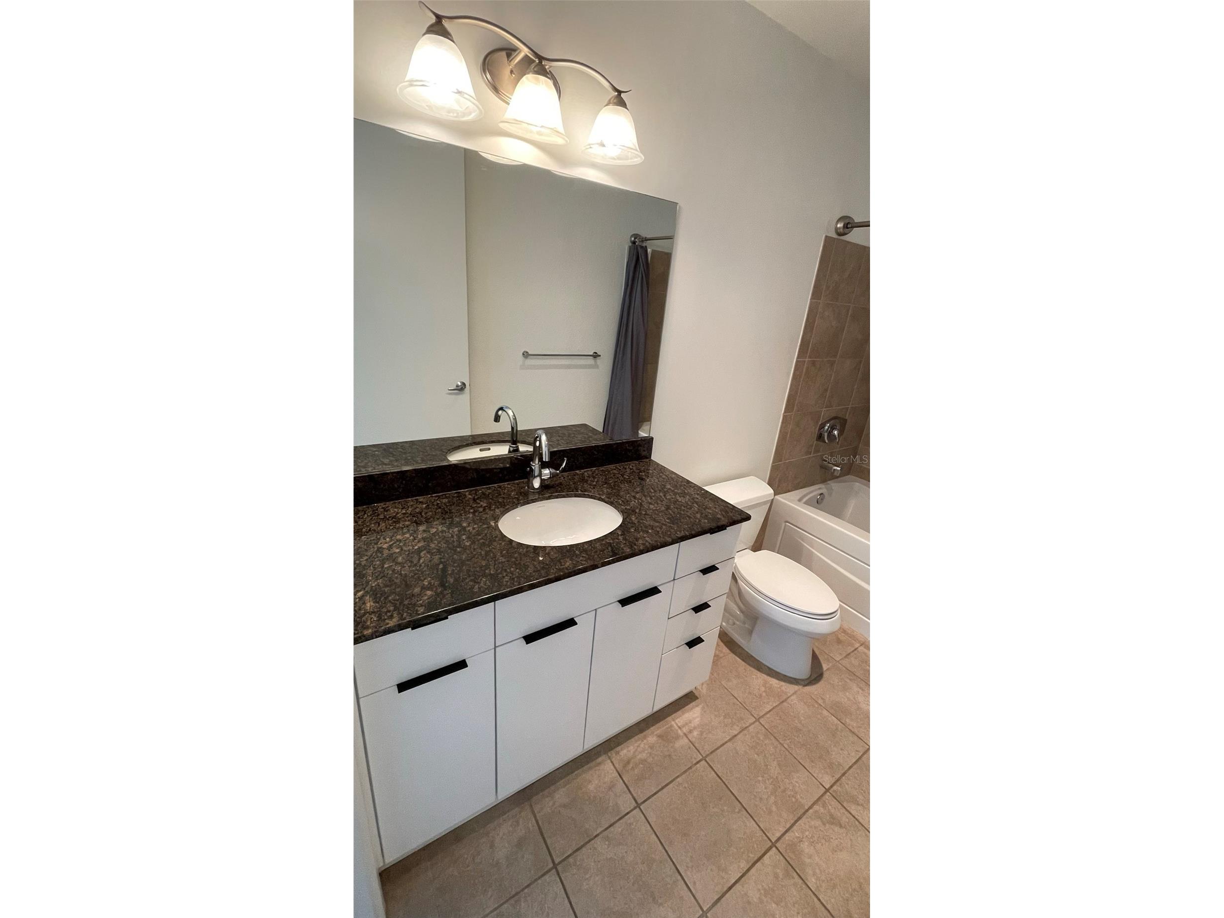 150 E Robinson Street #1423 Orlando FL 32801 O6396969 image38