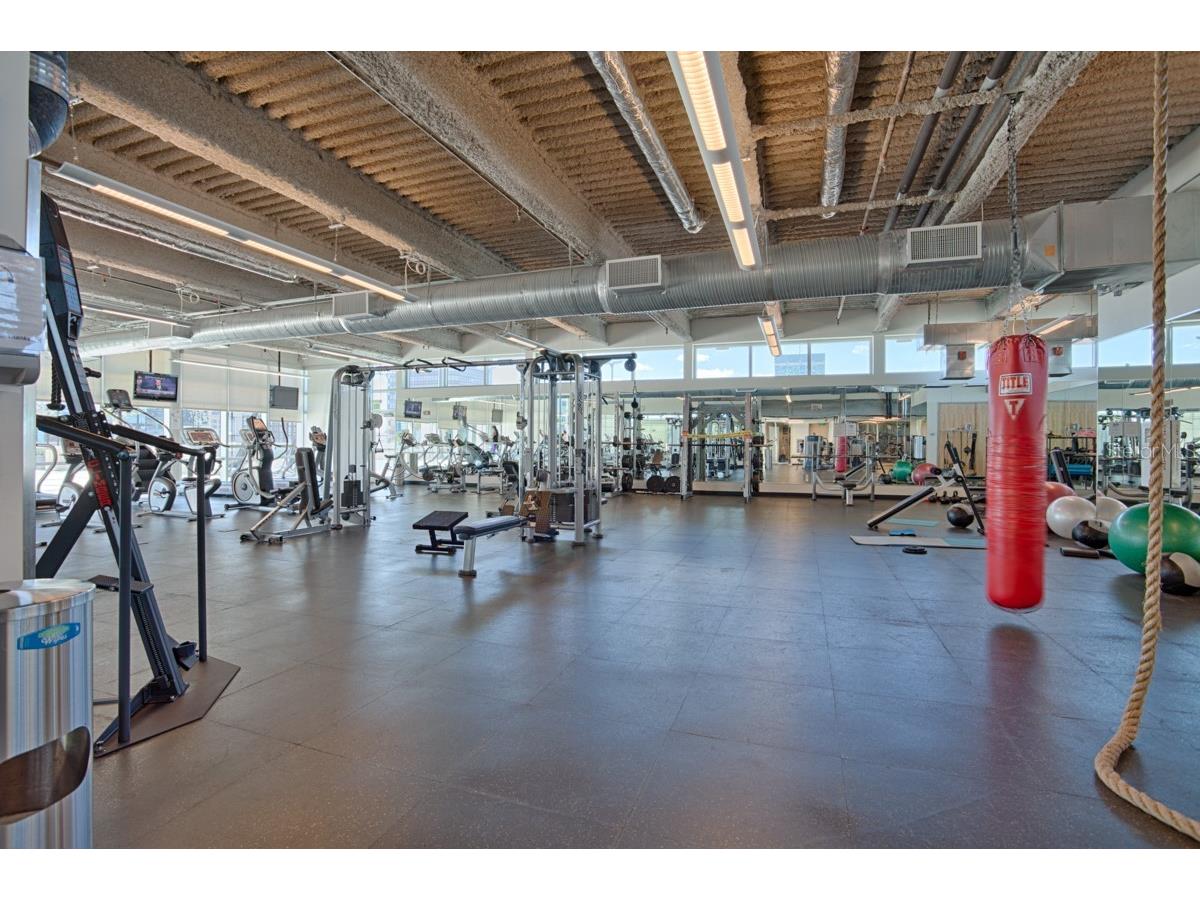 150 E Robinson Street #2008 Orlando FL 32801 O6345482 image39