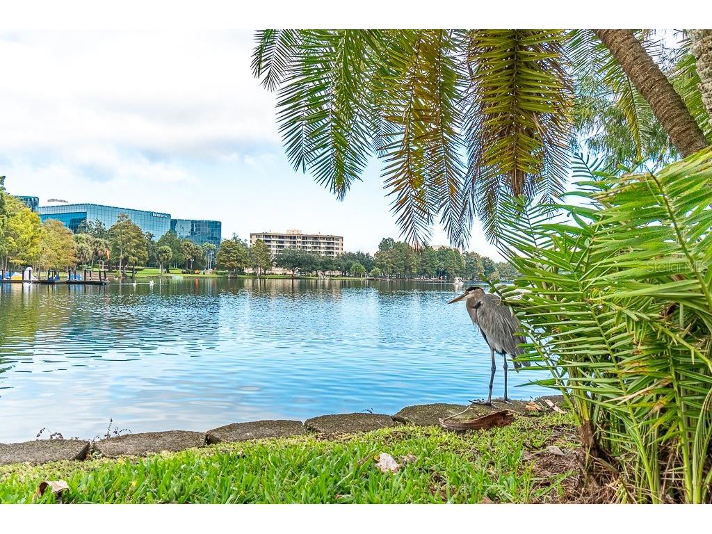 150 E Robinson Street #2203 Orlando FL 32801 - LAKE EOLA O6337872 image20