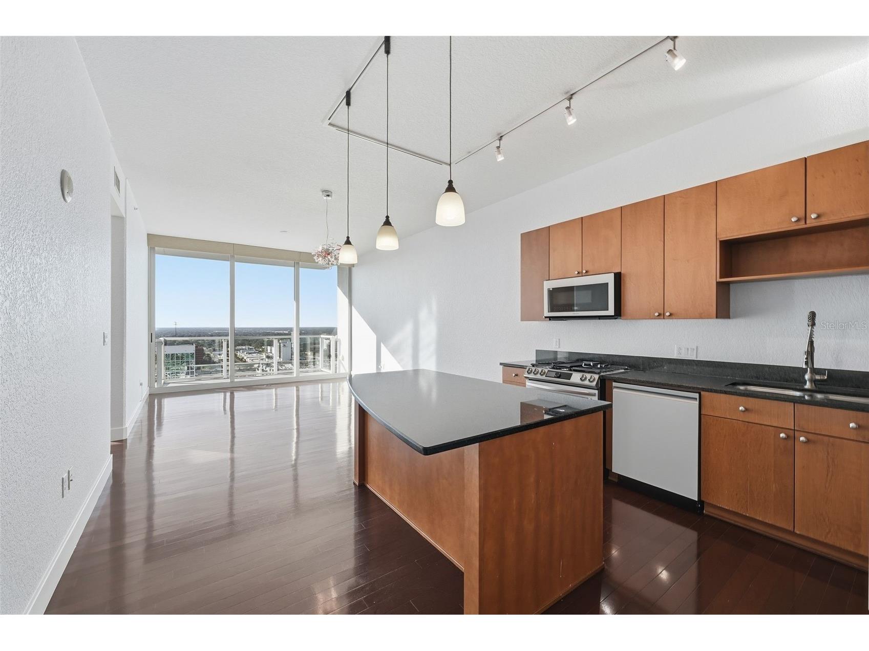 150 E Robinson Street #2406 Orlando FL 32801 O6374844 image18
