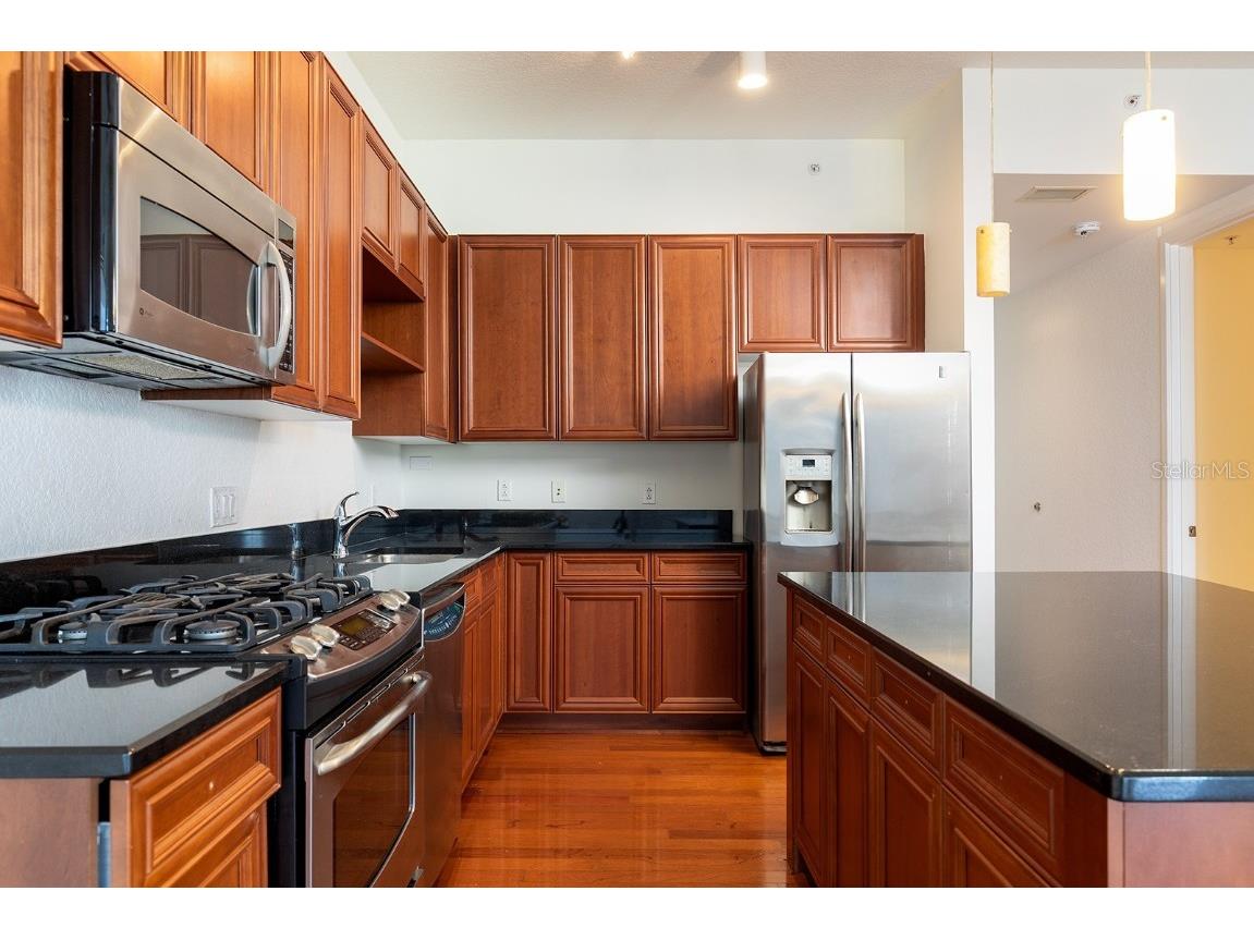 150 E Robinson Street #2408 Orlando FL 32801 O6359688 image9