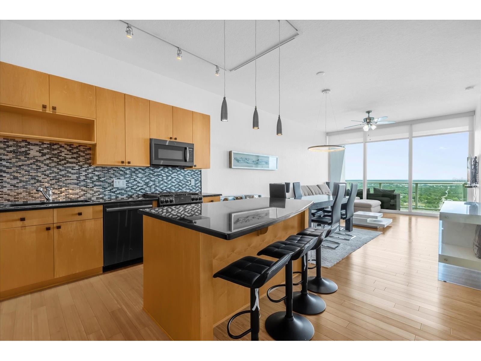 150 E Robinson Street #2607 Orlando FL 32801 O6344575 image10