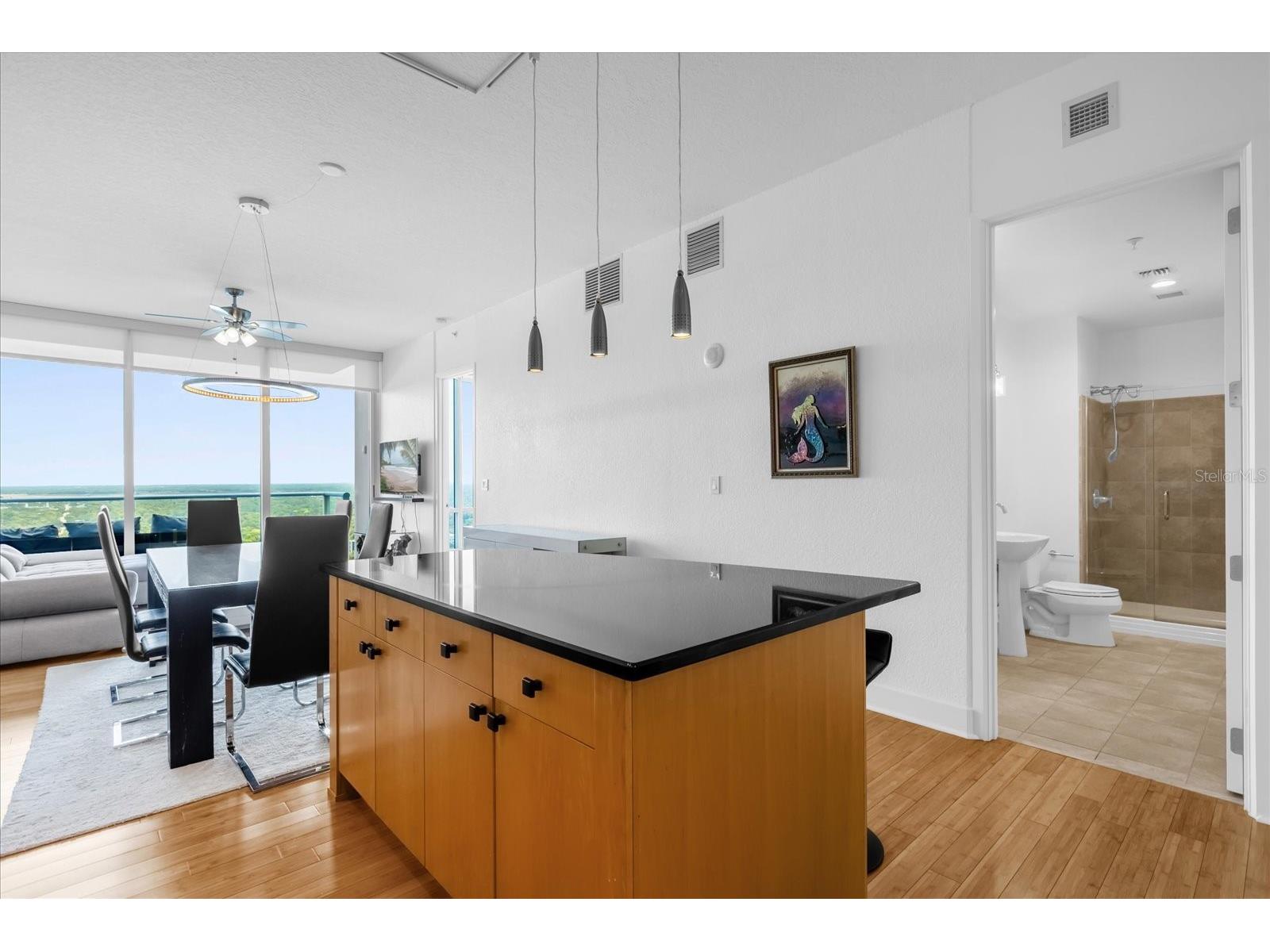 150 E Robinson Street #2607 Orlando FL 32801 O6344575 image25