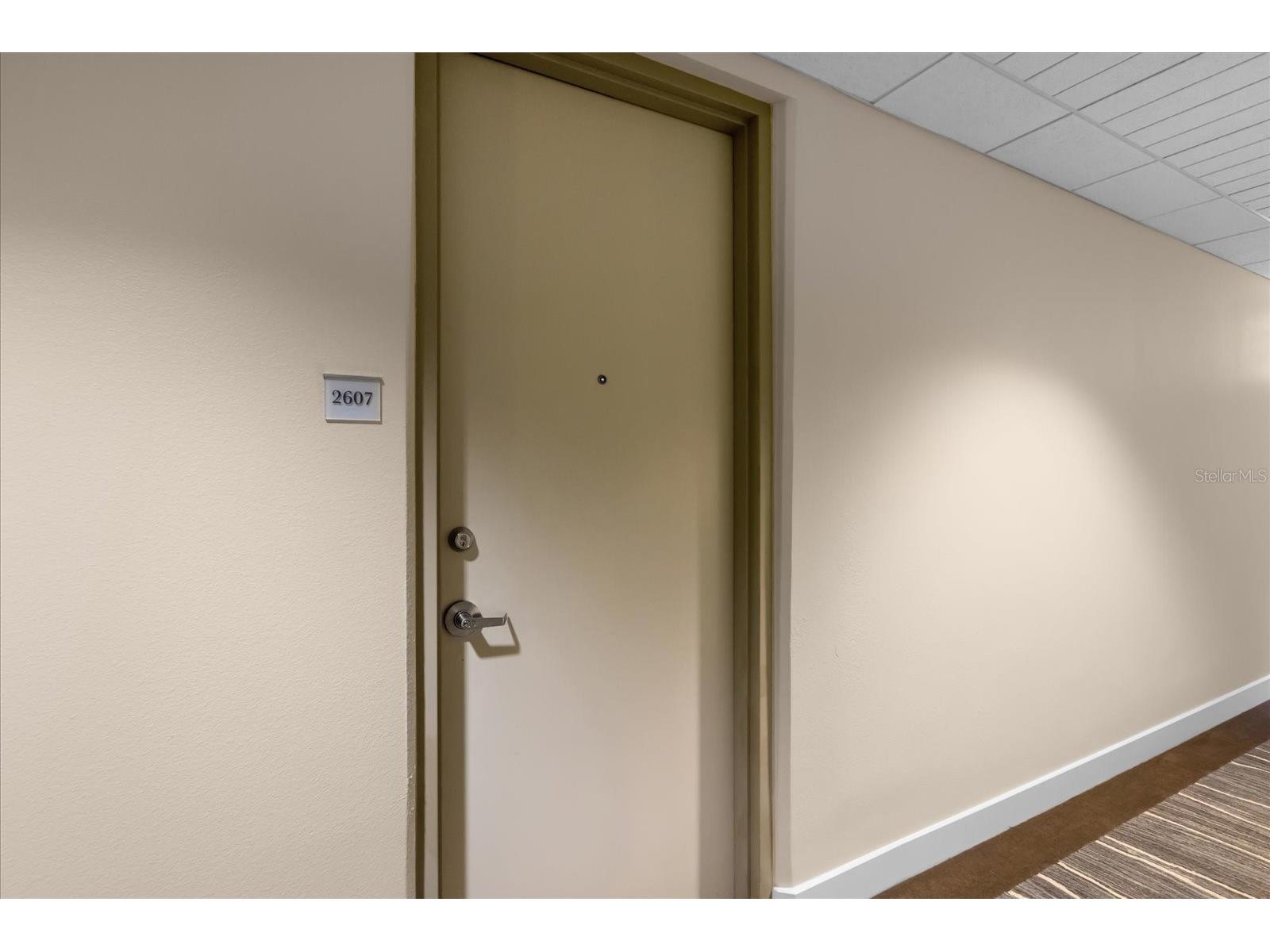 150 E Robinson Street #2607 Orlando FL 32801 O6344575 image27