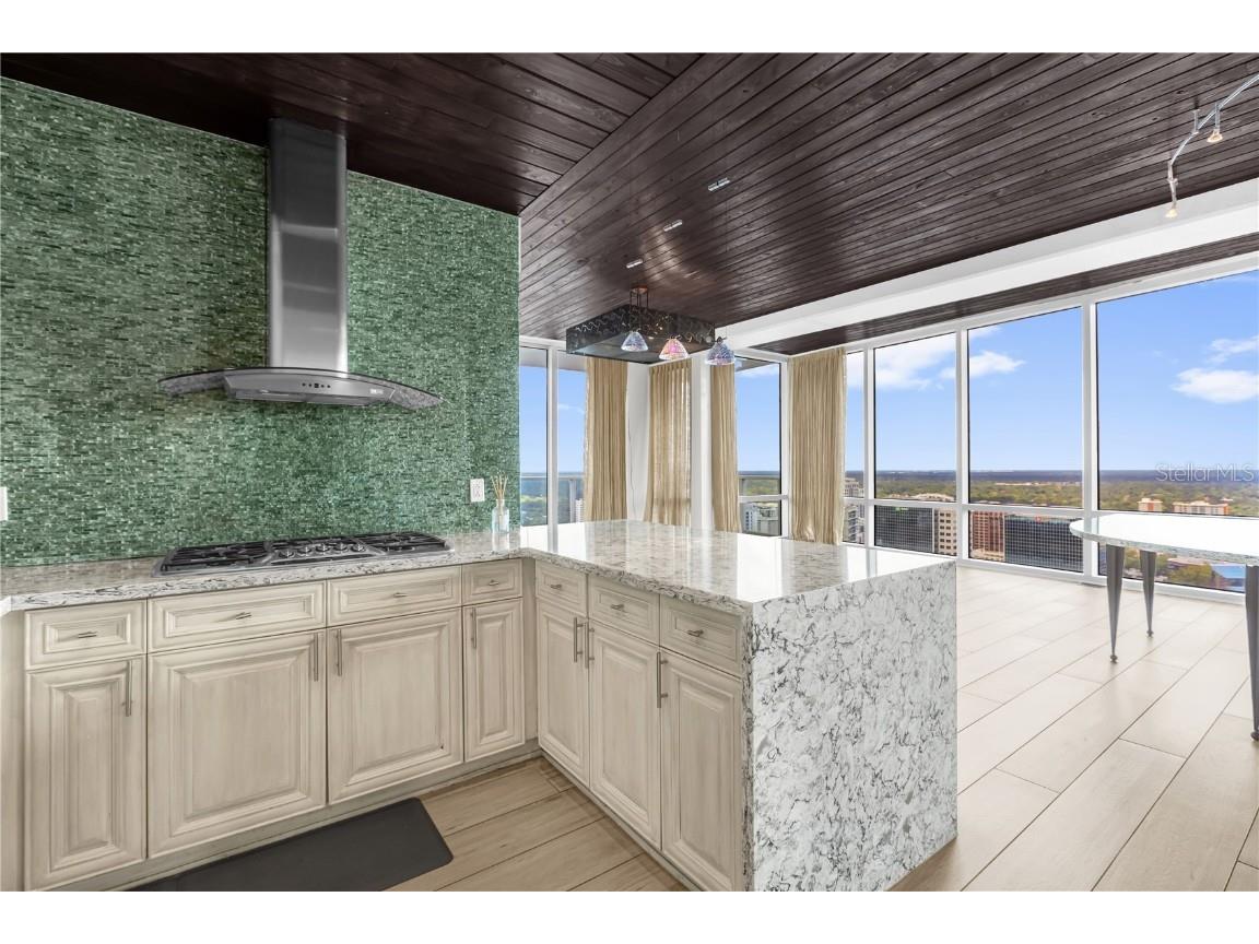 150 E Robinson Street #2701 Orlando FL 32801 O6339108 image11