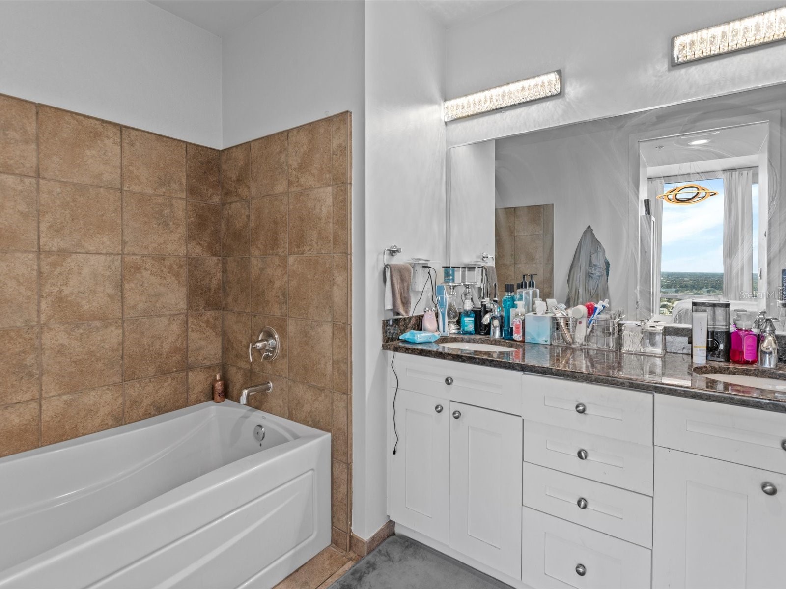 150 E Robinson Street #2906 Orlando FL 32801 O6387061 image16