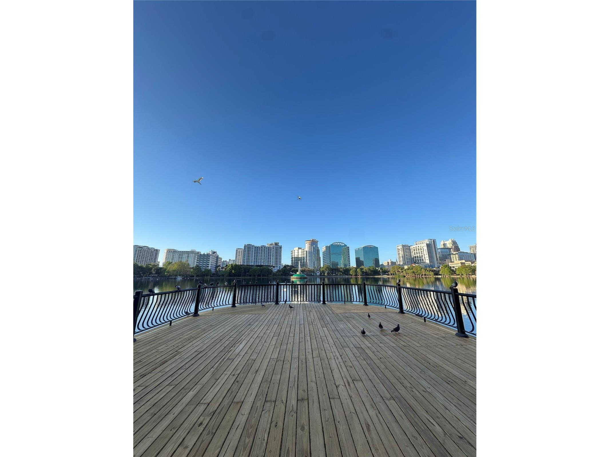 150 E Robinson Street #2906 Orlando FL 32801 O6387061 image41