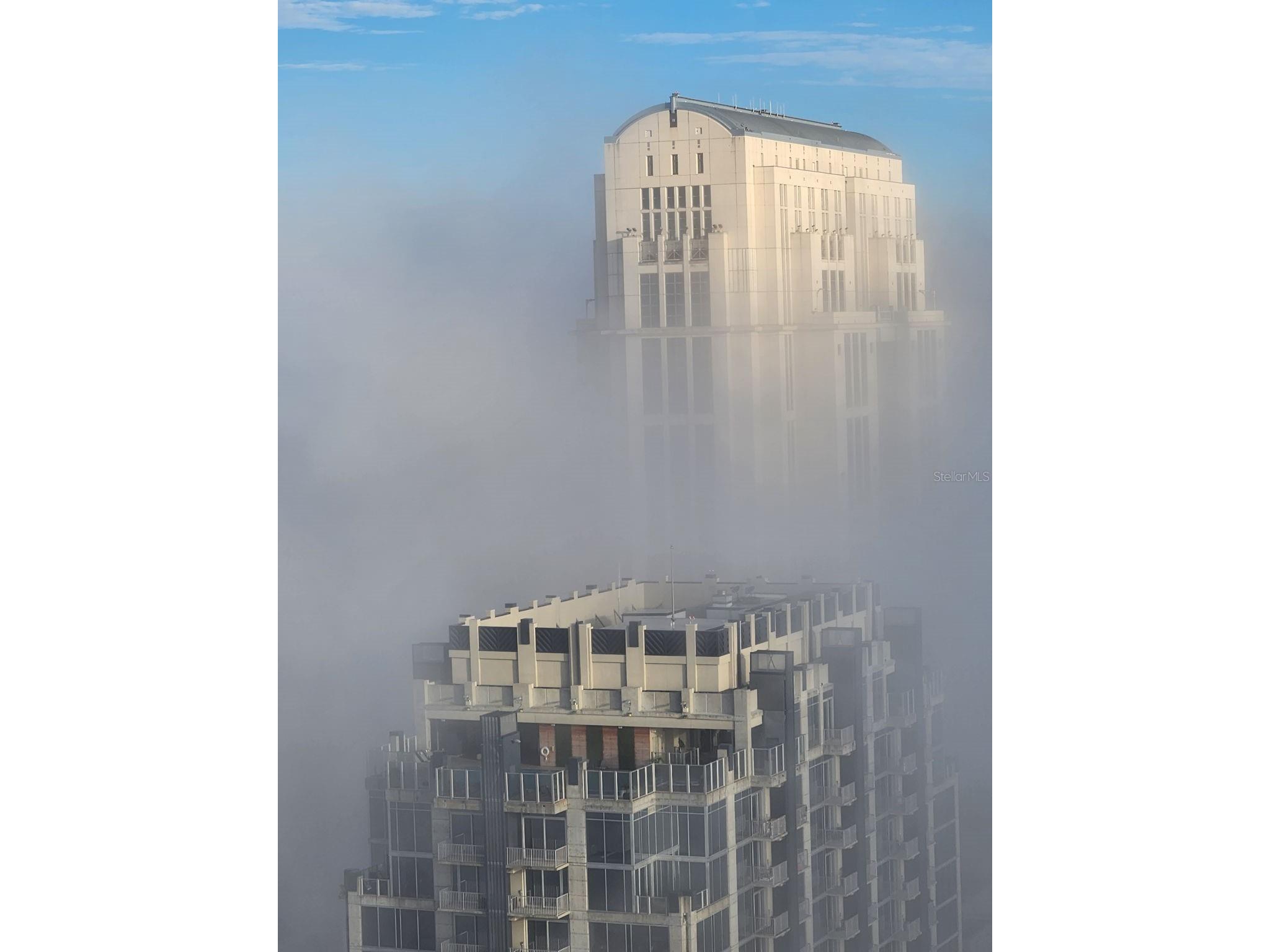 150 E Robinson Street #3104-1 Orlando FL 32801 O6409755 image69