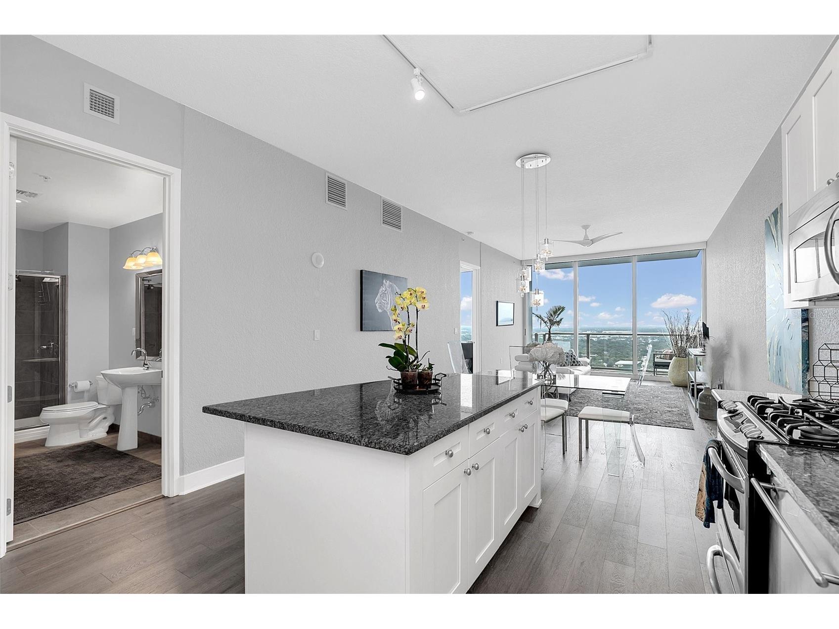 150 E Robinson Street #3107 Orlando FL 32801 O6398904 image7